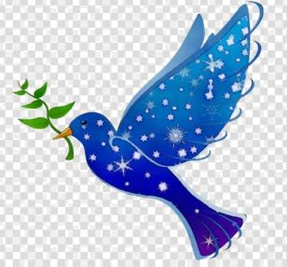 user avatar image for mbird