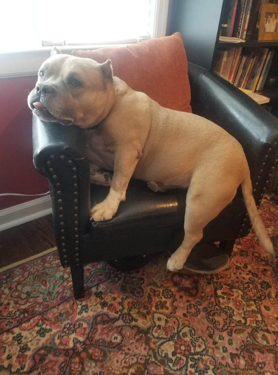 user avatar image for Jenn D