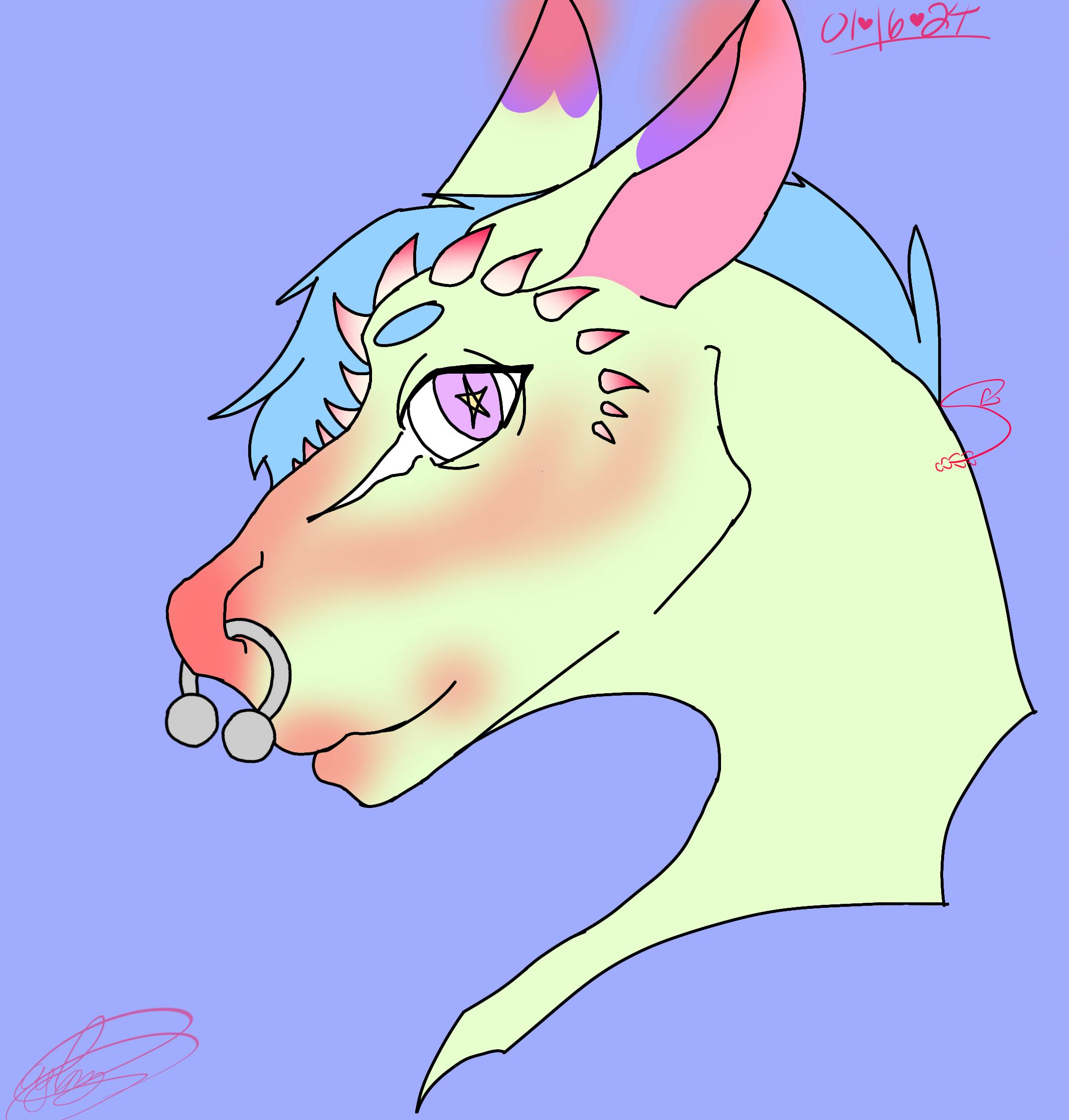 user avatar image for Saylem Lefkovitz 