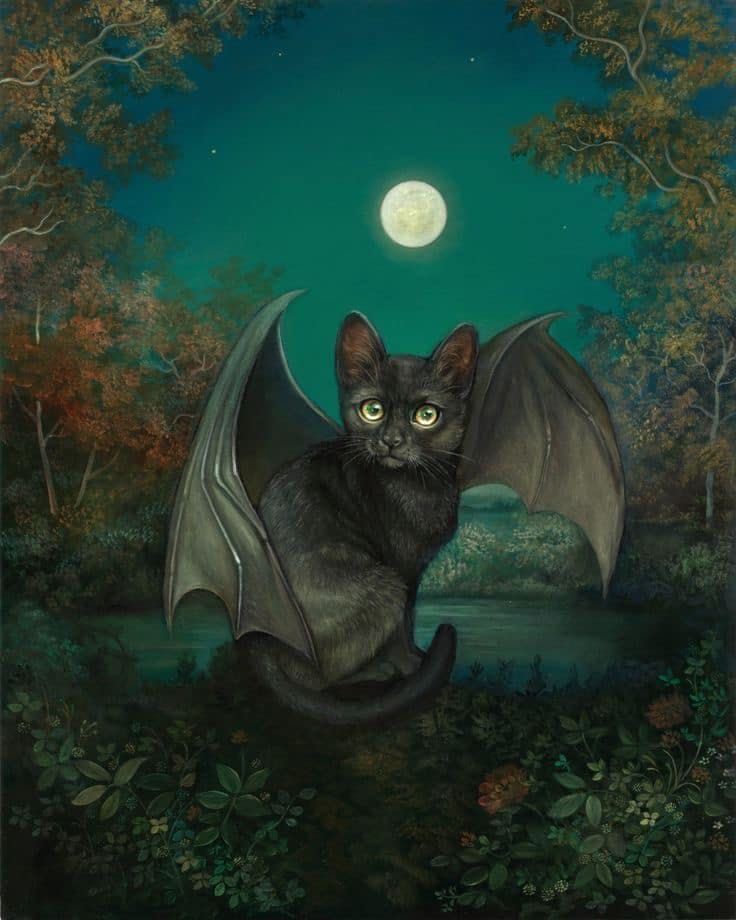 user avatar image for Julián Chávez