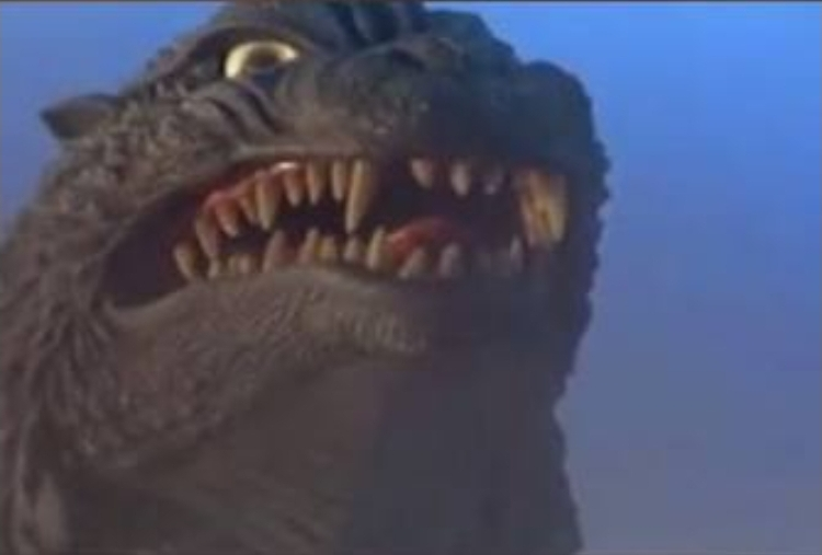 user avatar image for Danielle