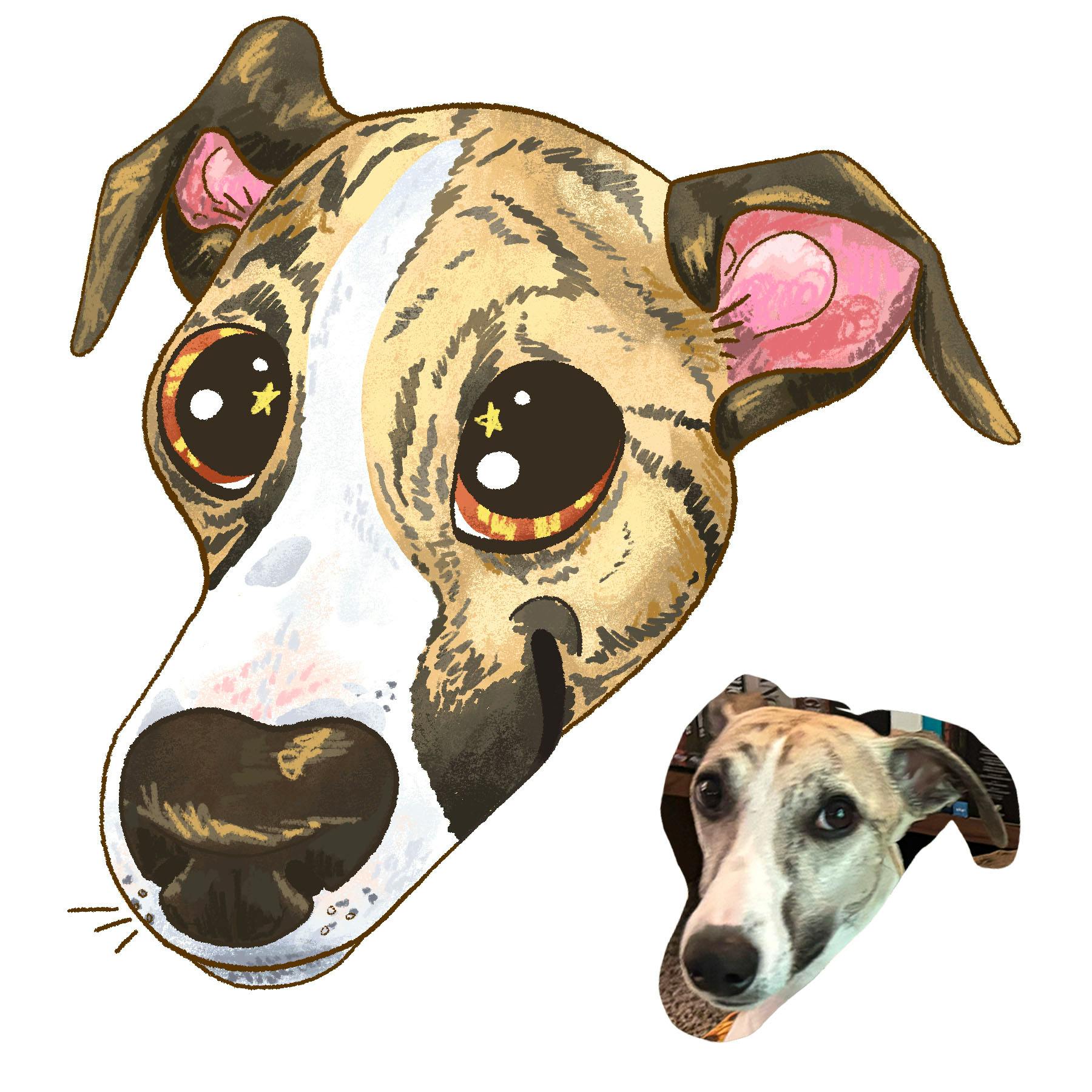 user avatar image for Kinsey McCormick