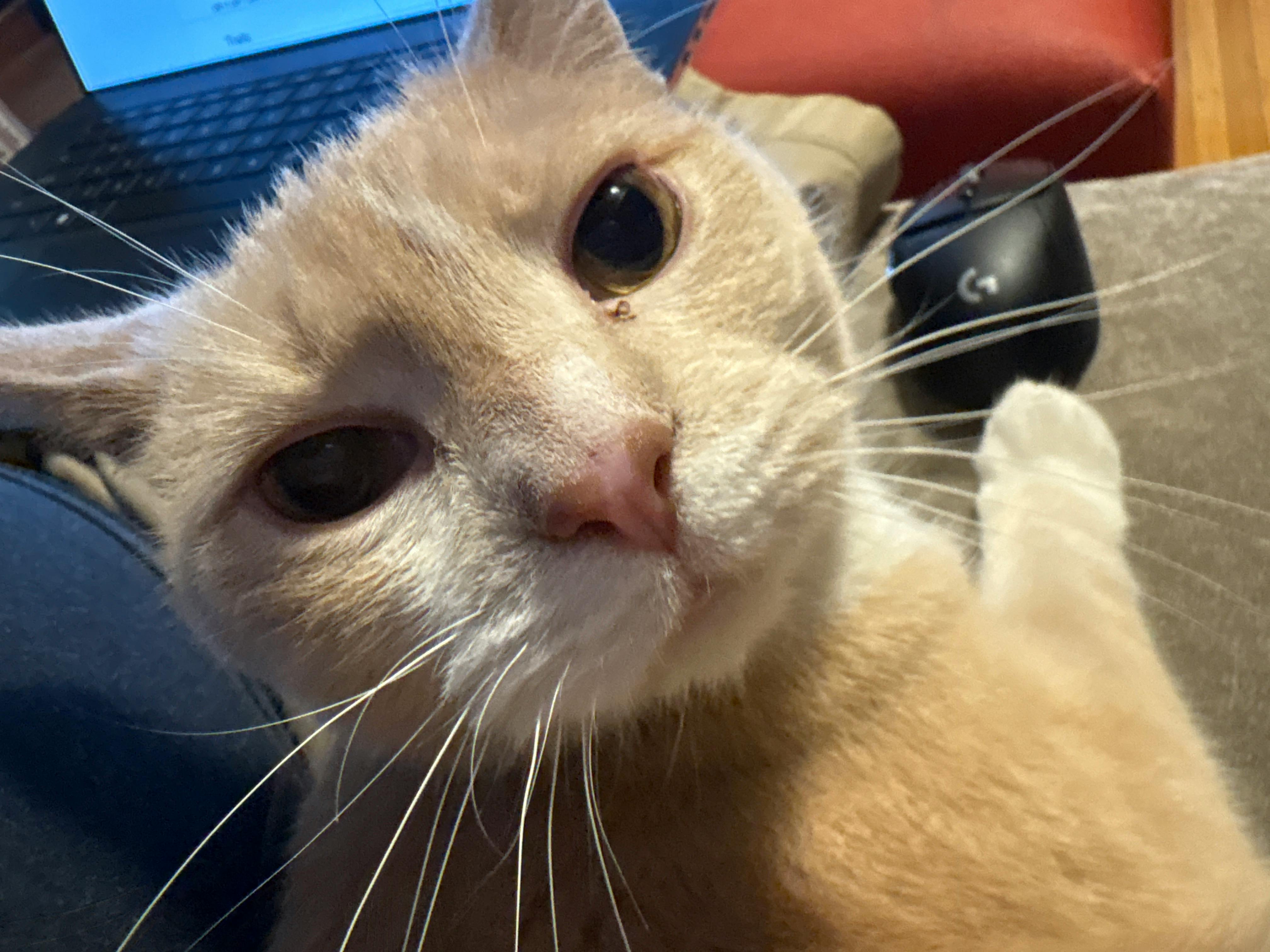 user avatar image for Xander Curran