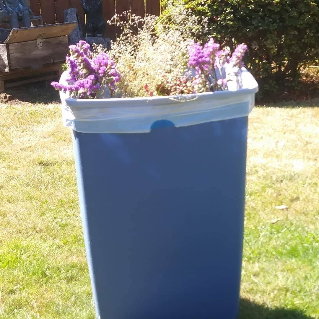 user avatar image for Brooke