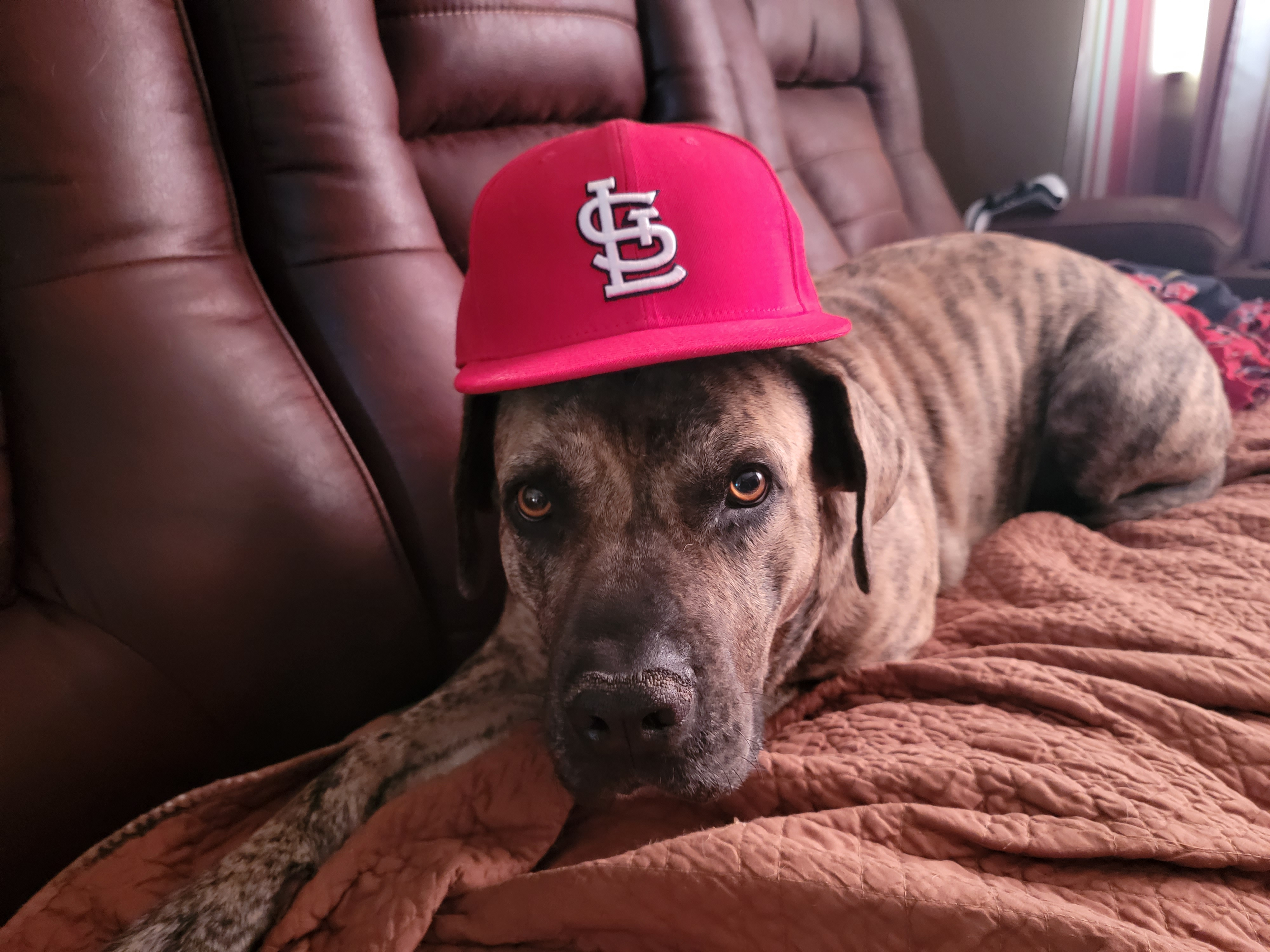 user avatar image for McIntyre0591