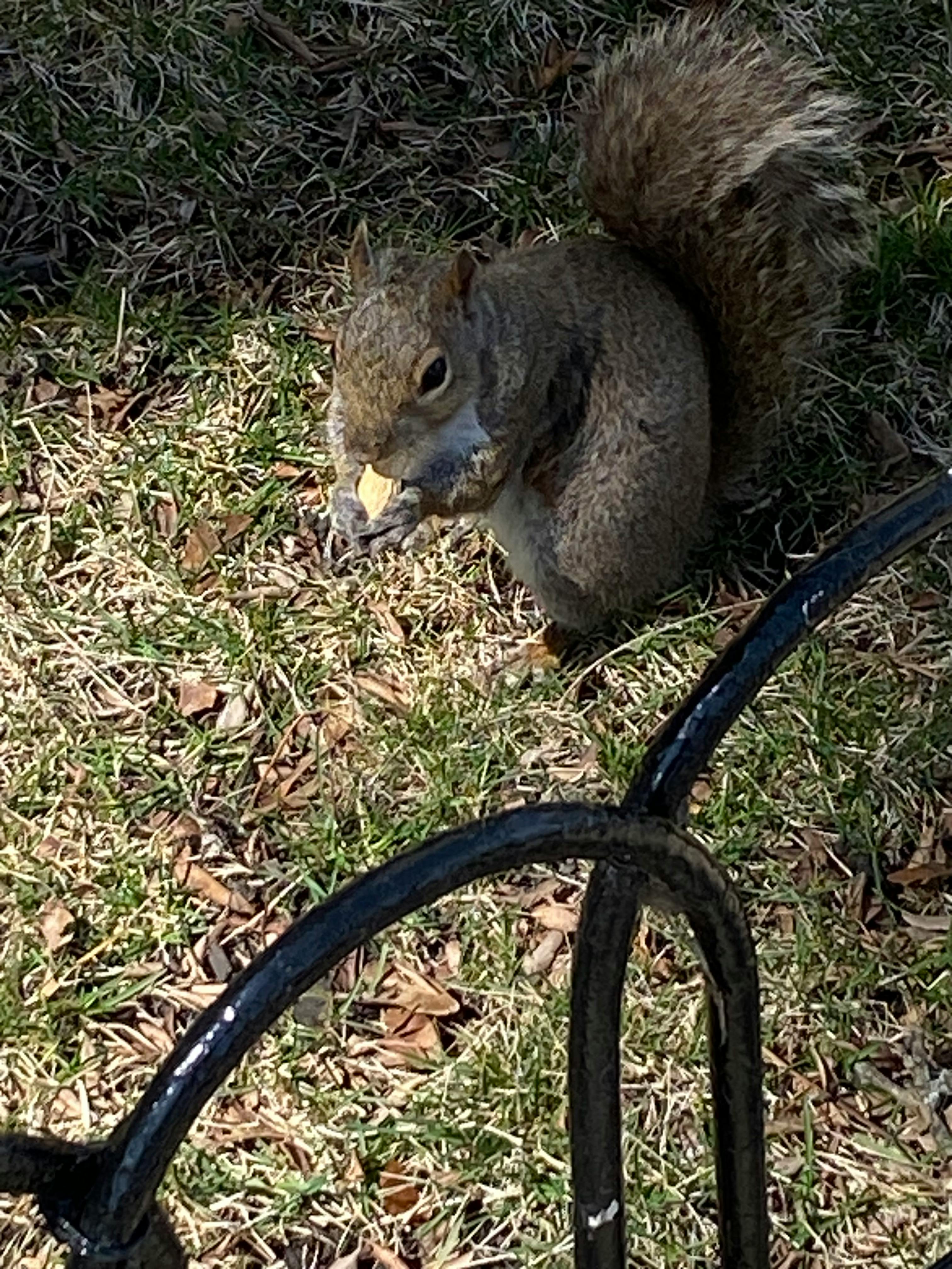 user avatar image for Murmos