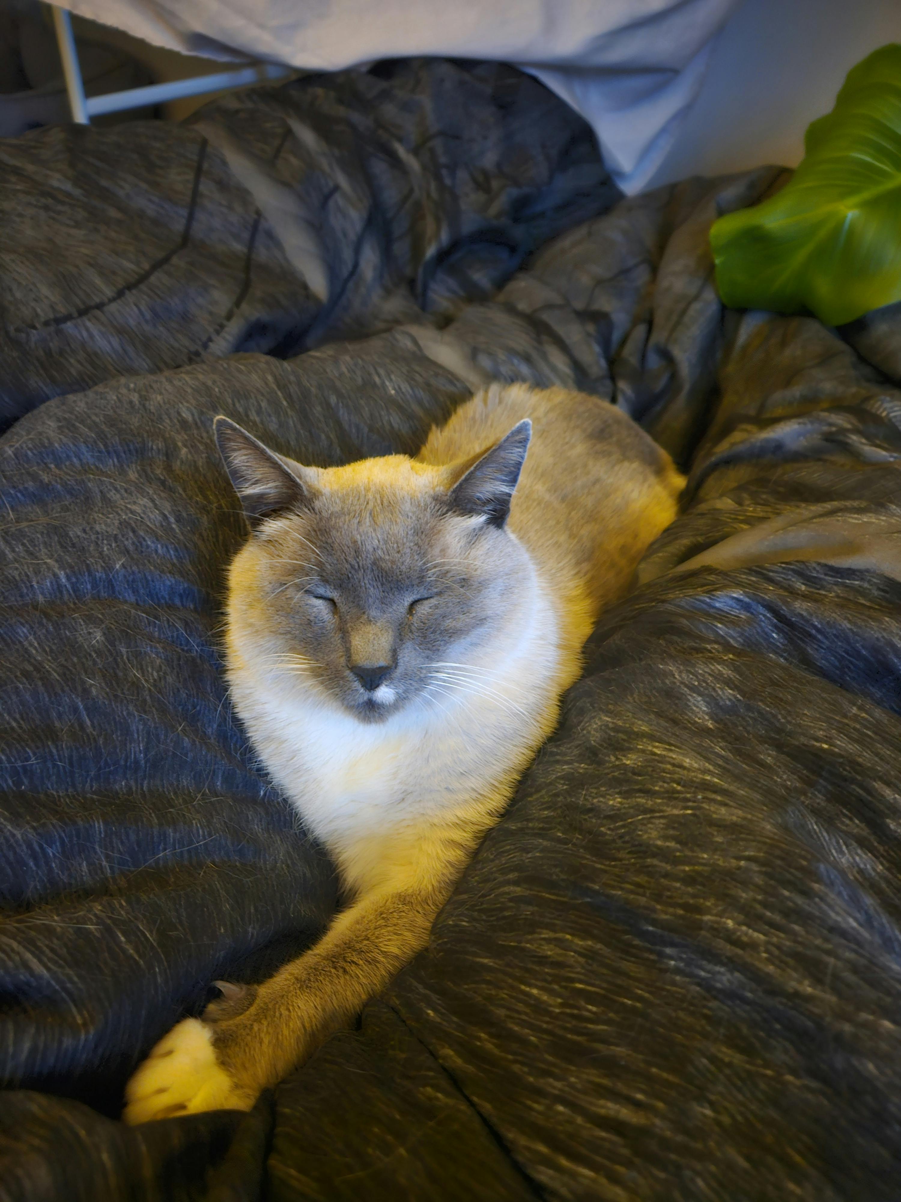 user avatar image for Fabian