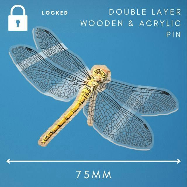 female ruddy darter double layer wooden and acrylic 75mm pin unlocks at £450