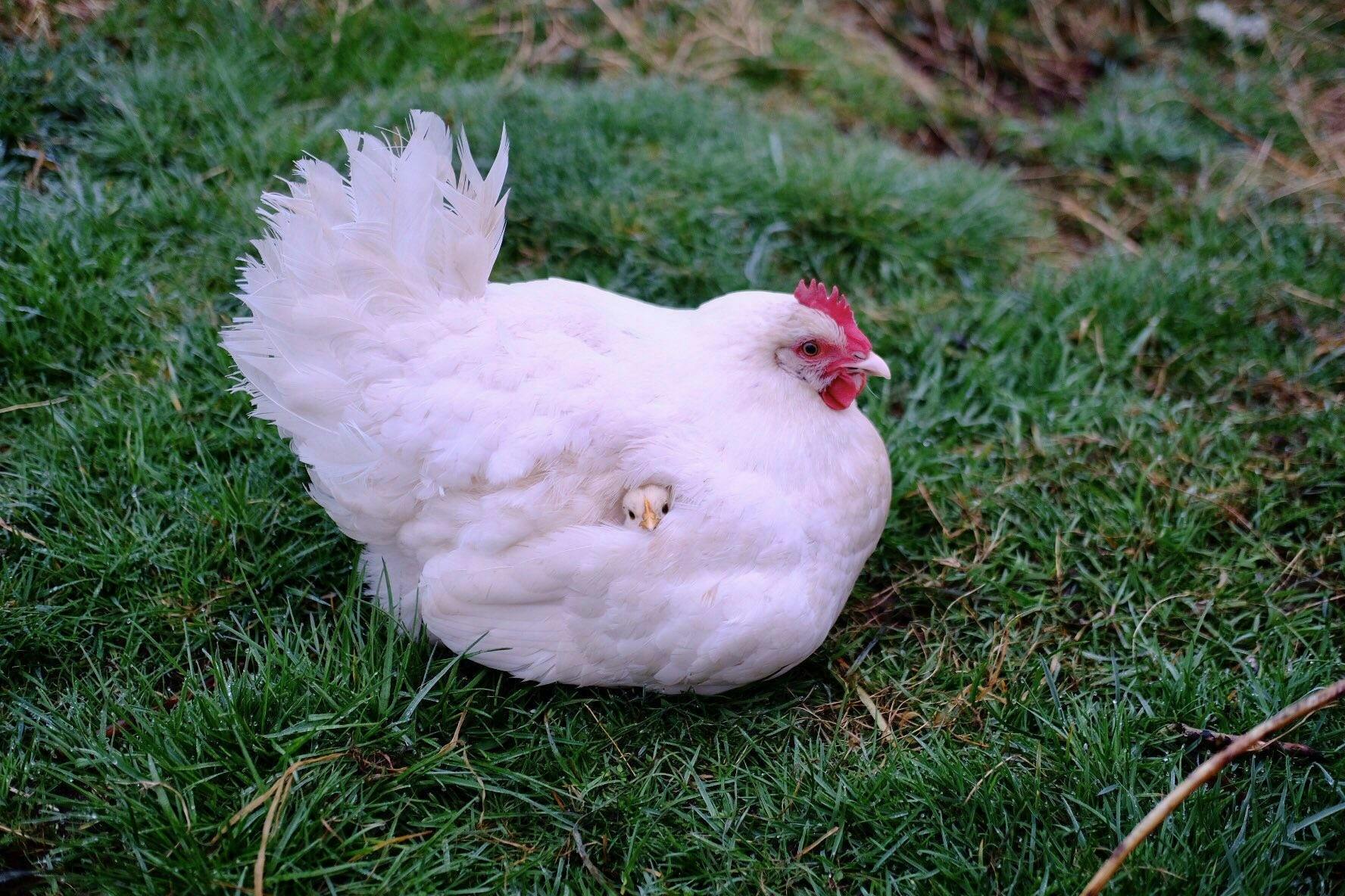 user avatar image for Esme