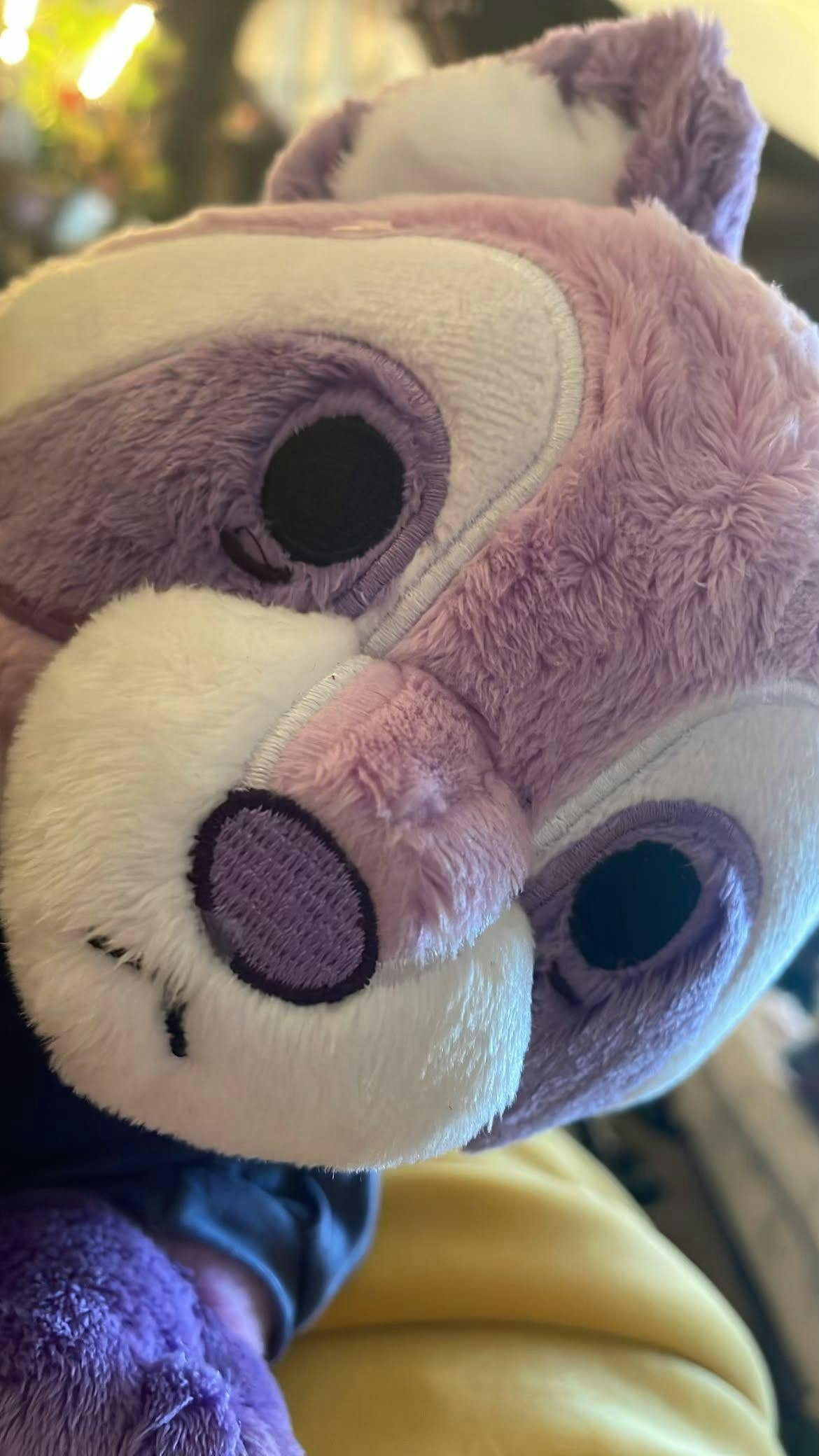 user avatar image for Pine Lawrence