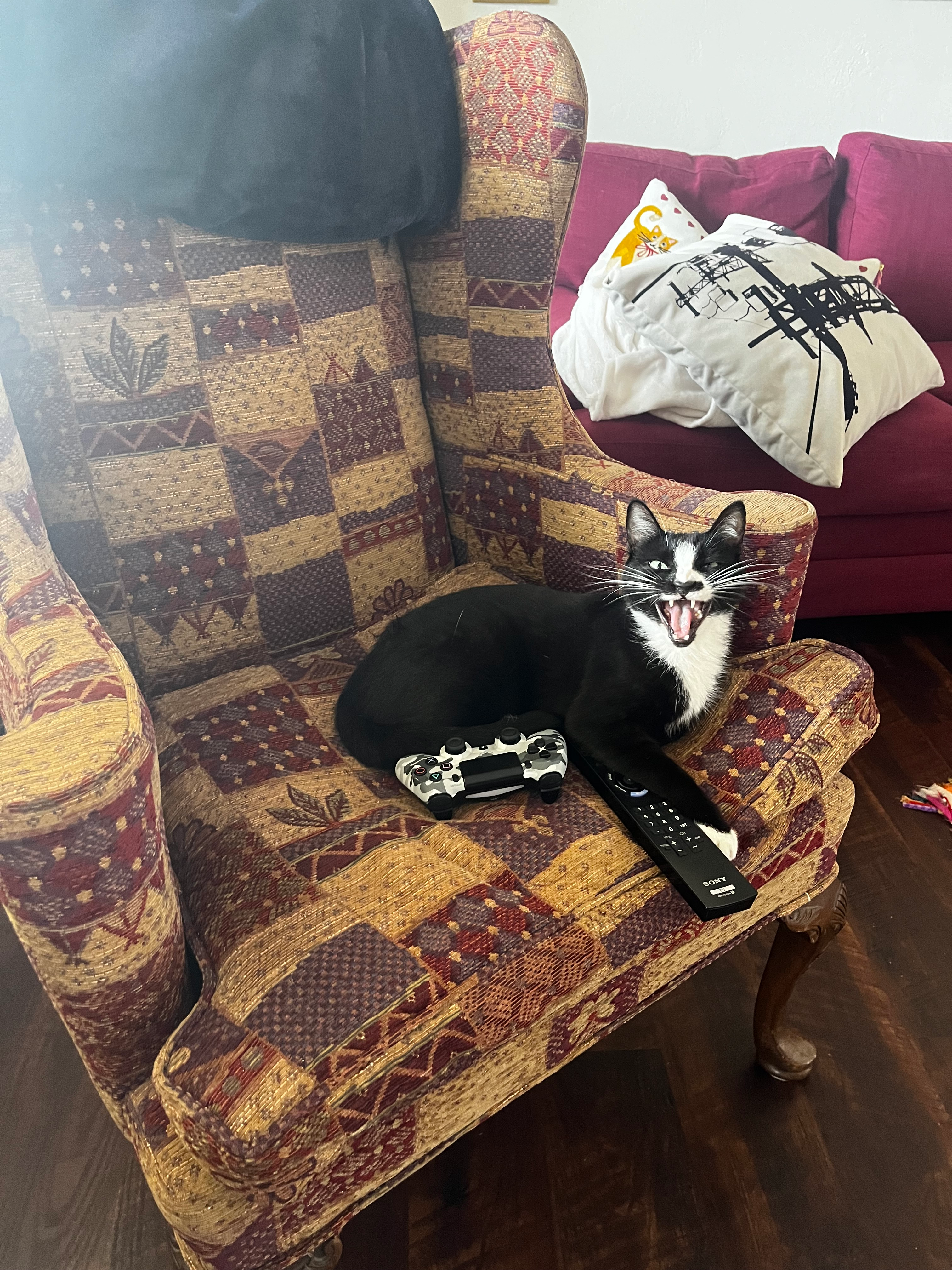 user avatar image for cole kaplan