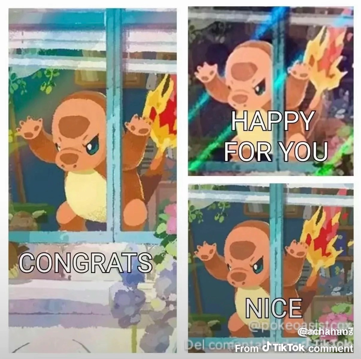 user avatar image for Challenger2011