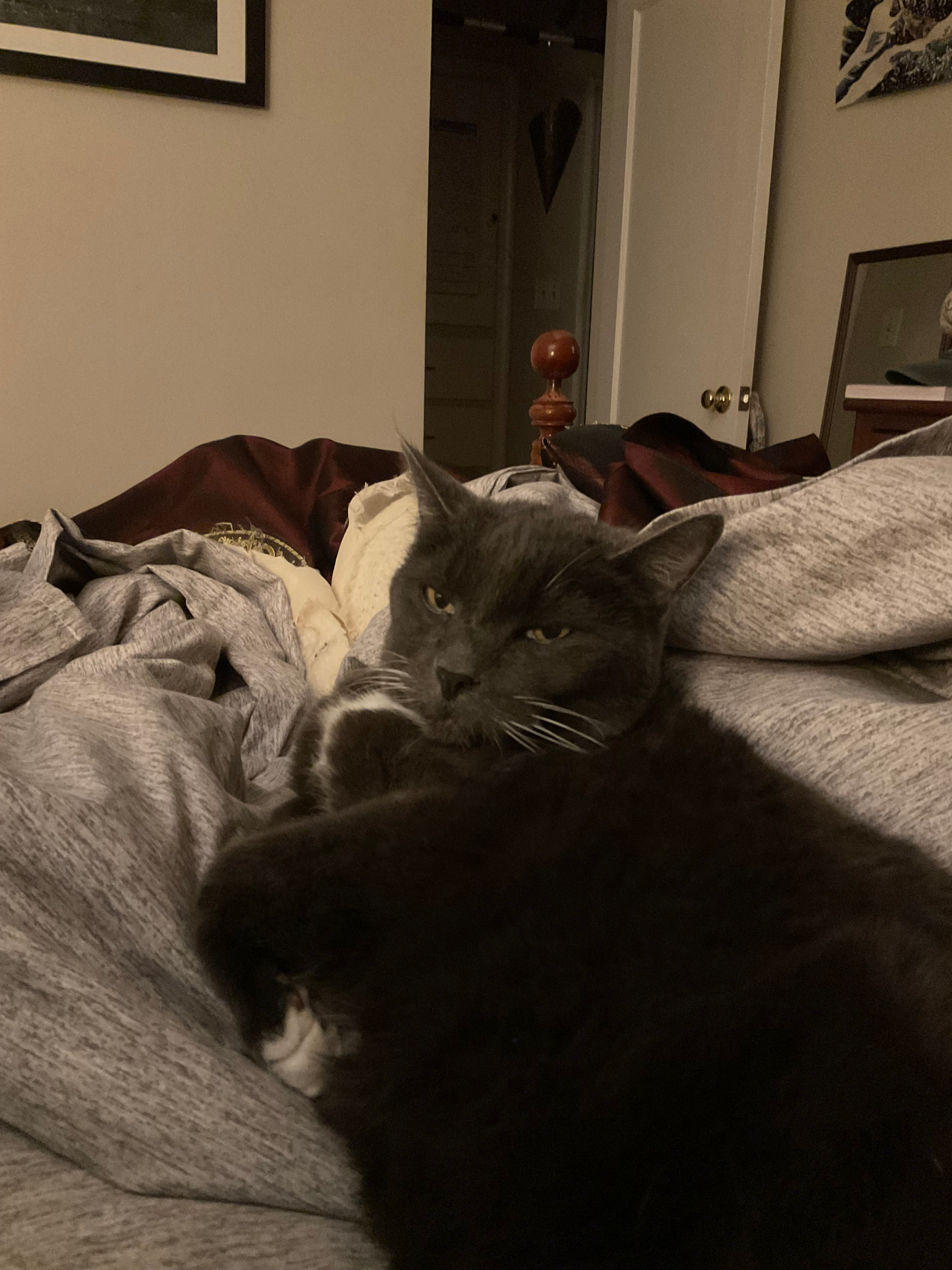 user avatar image for Chad Bramble