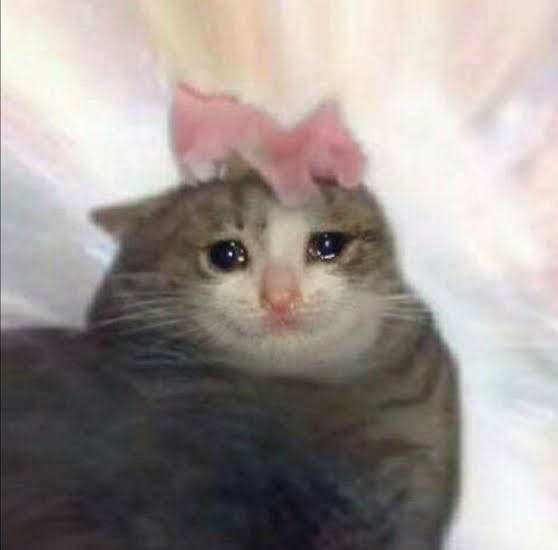 user avatar image for Ranii