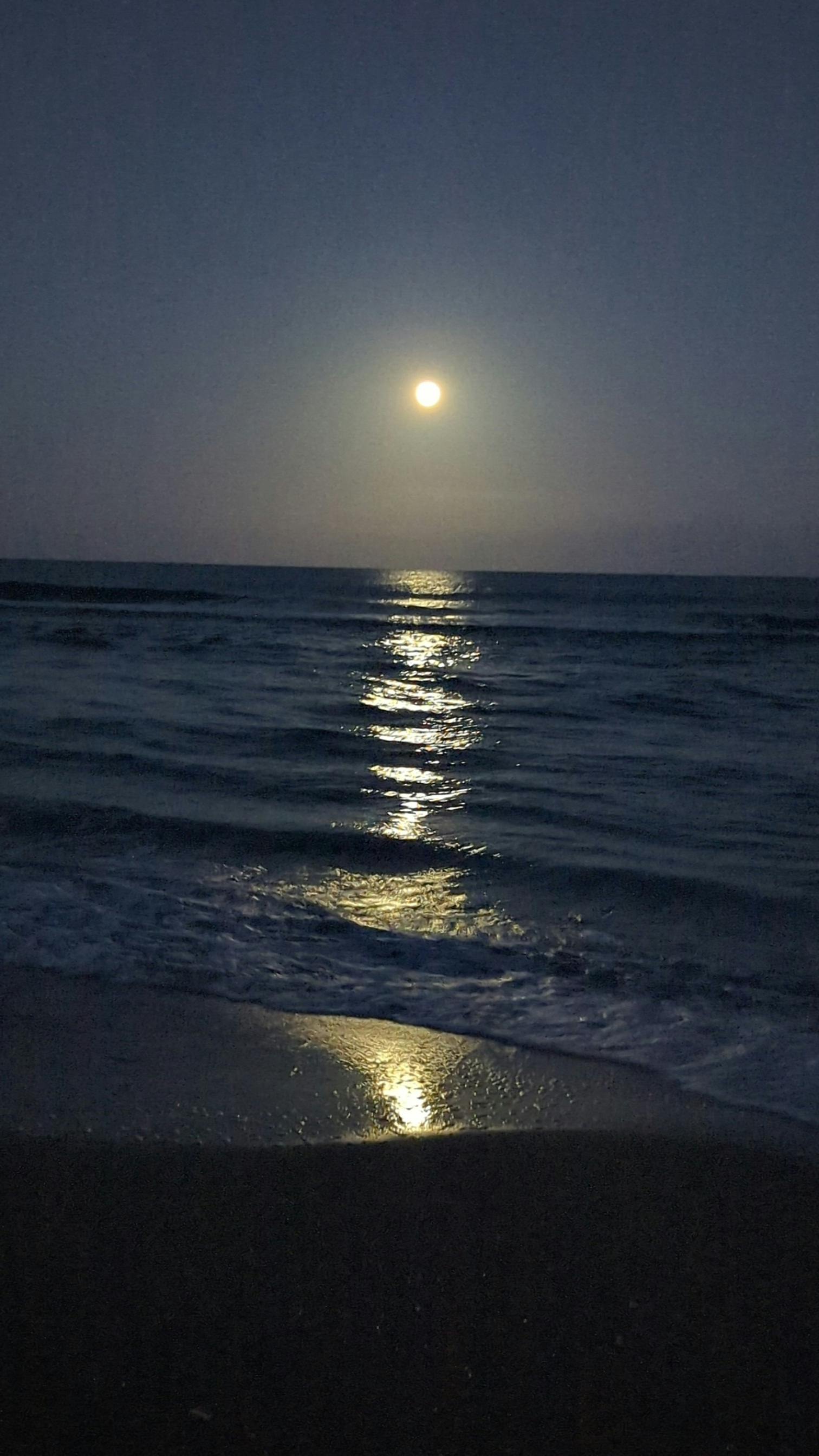 user avatar image for Preston