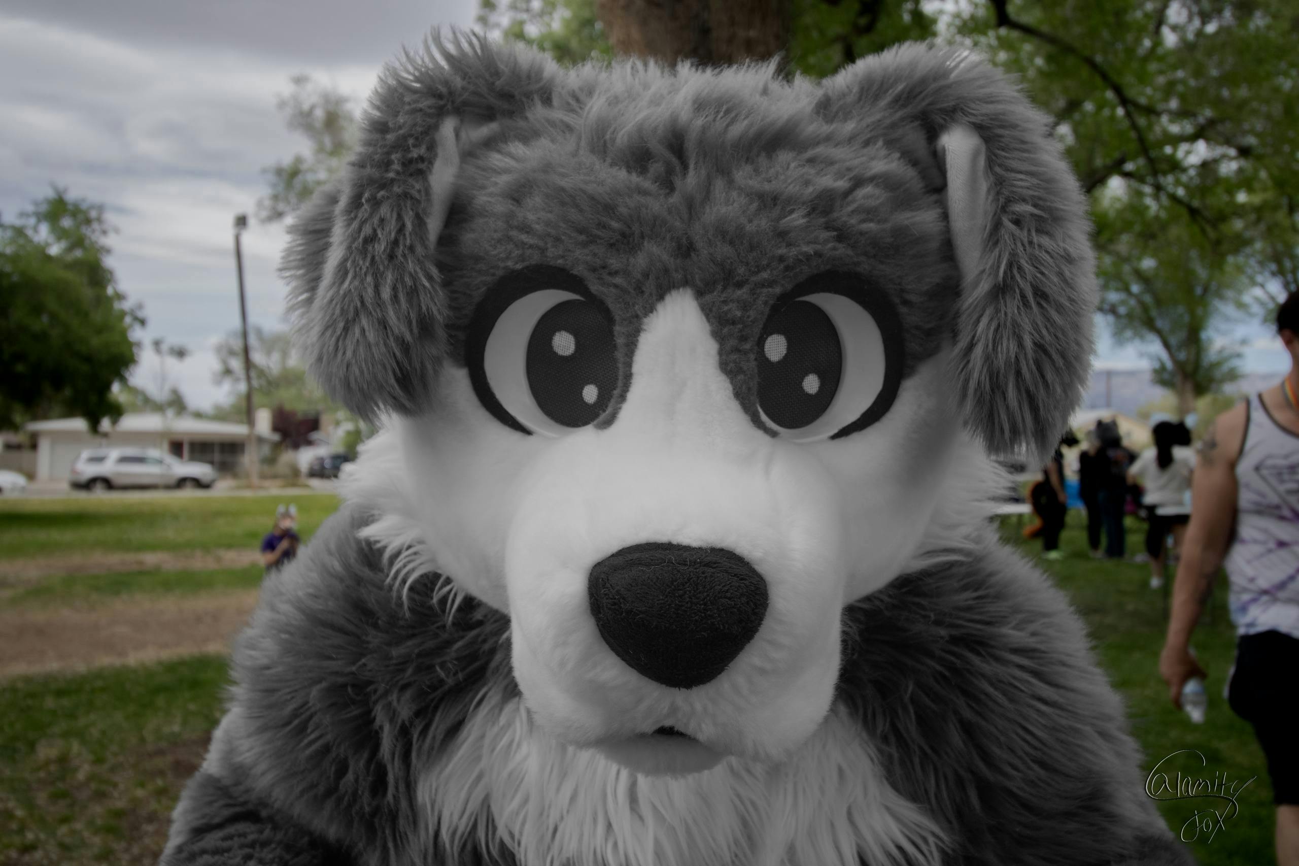 user avatar image for Victor Mutt