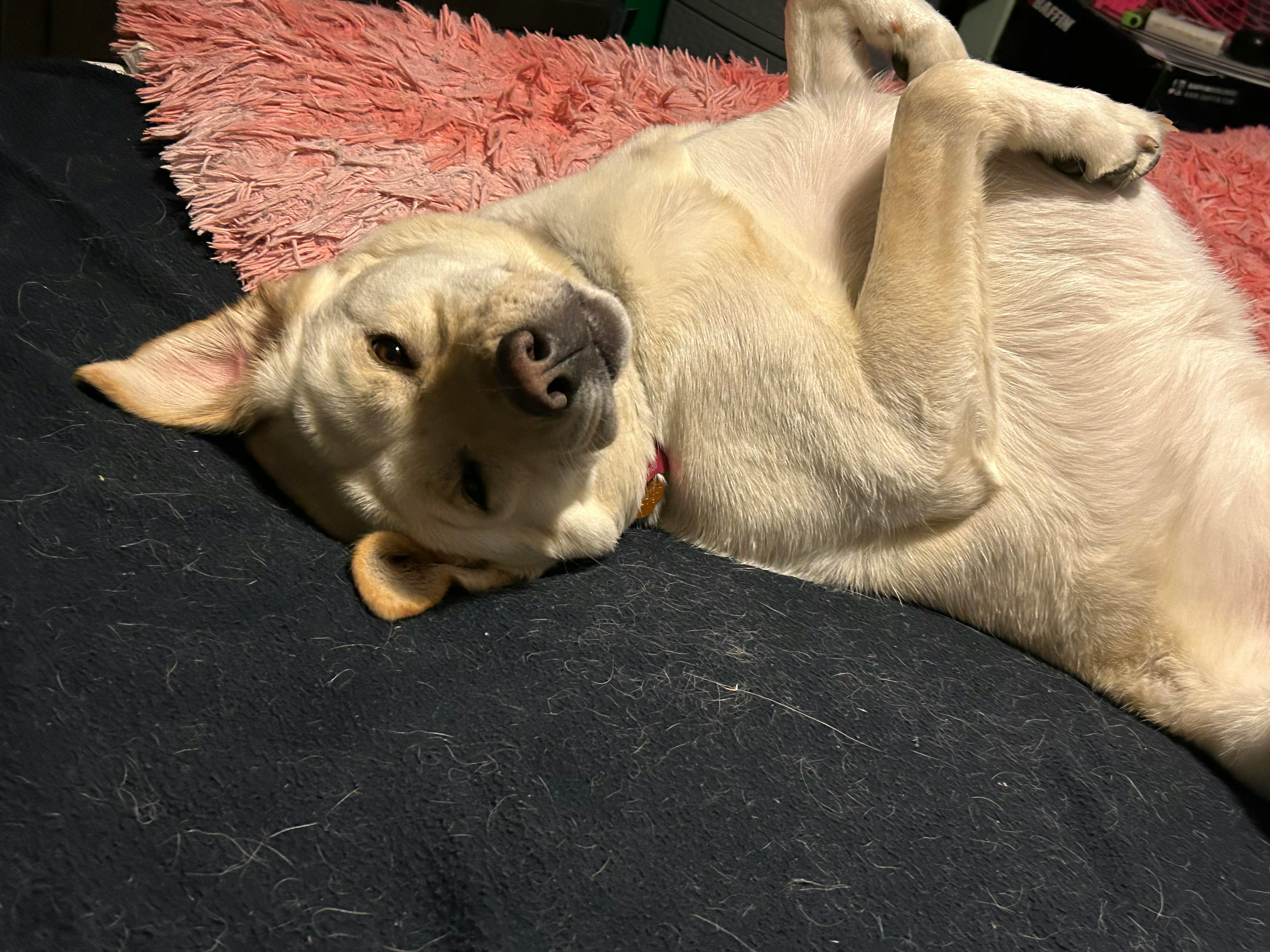 user avatar image for Leafstar15 (Jessica)