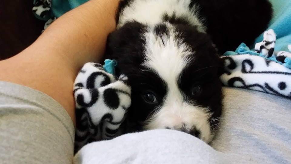 user avatar image for Page Kinyon