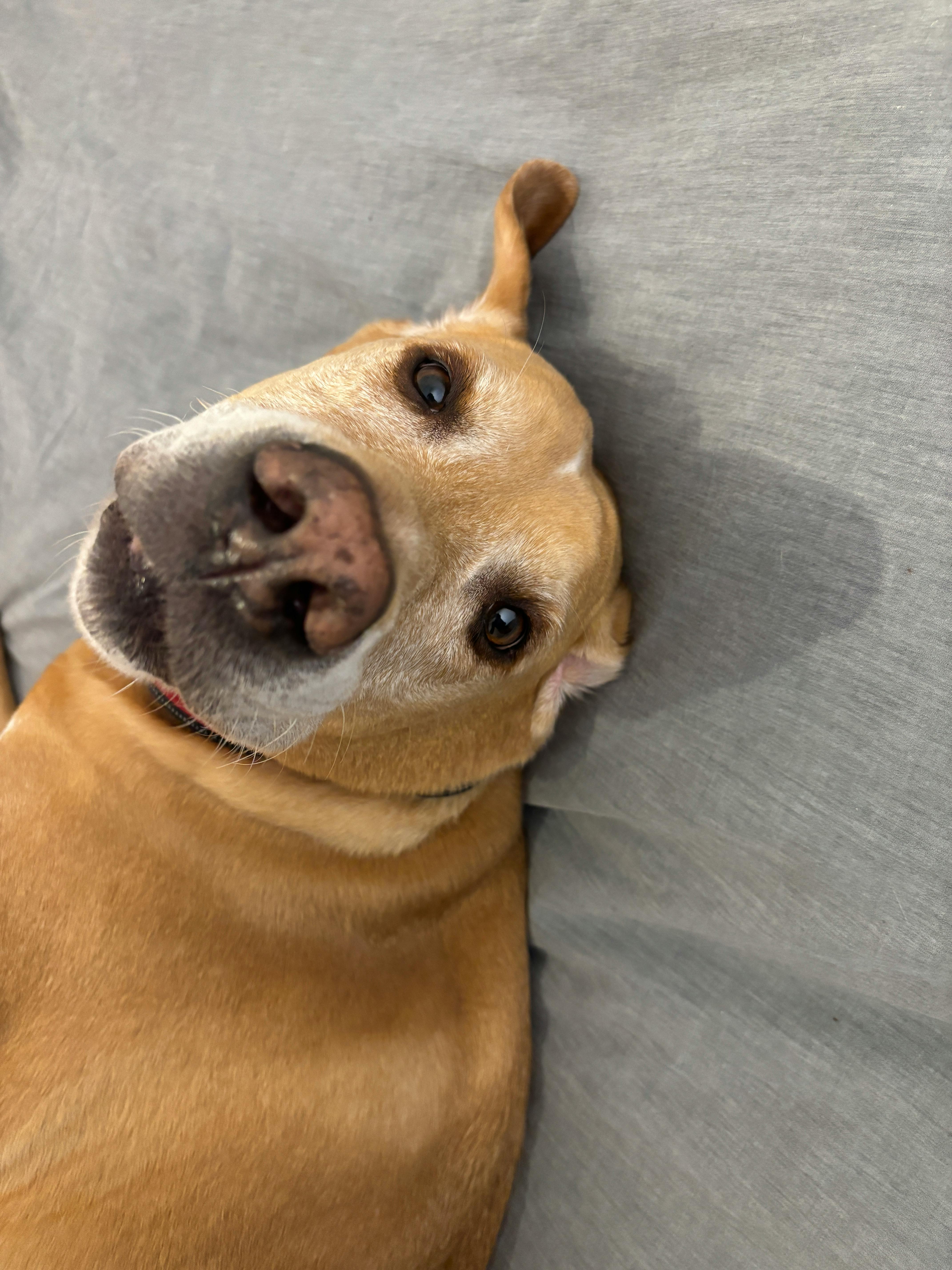 user avatar image for Nacho C. 