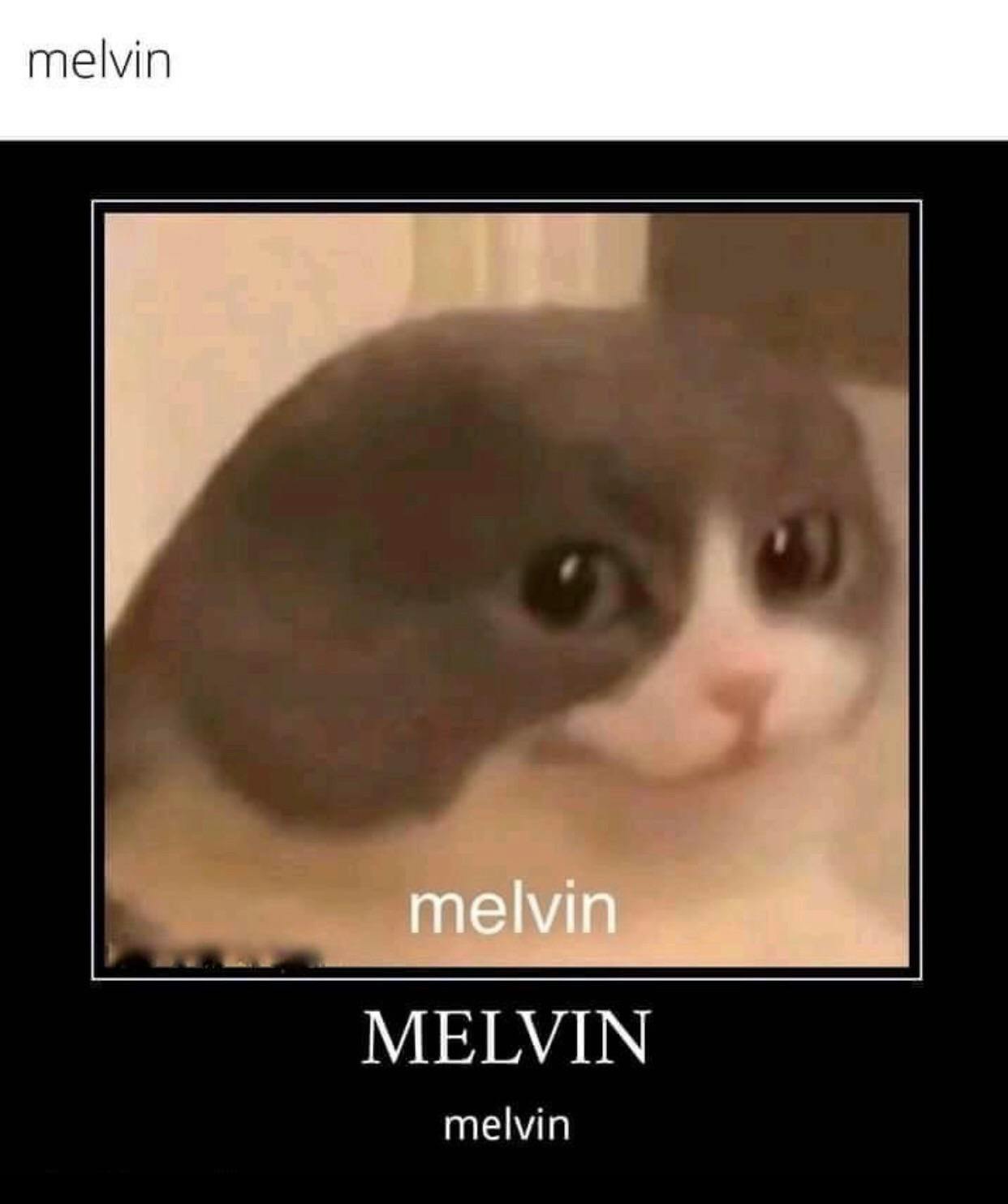 user avatar image for The One True Rat God