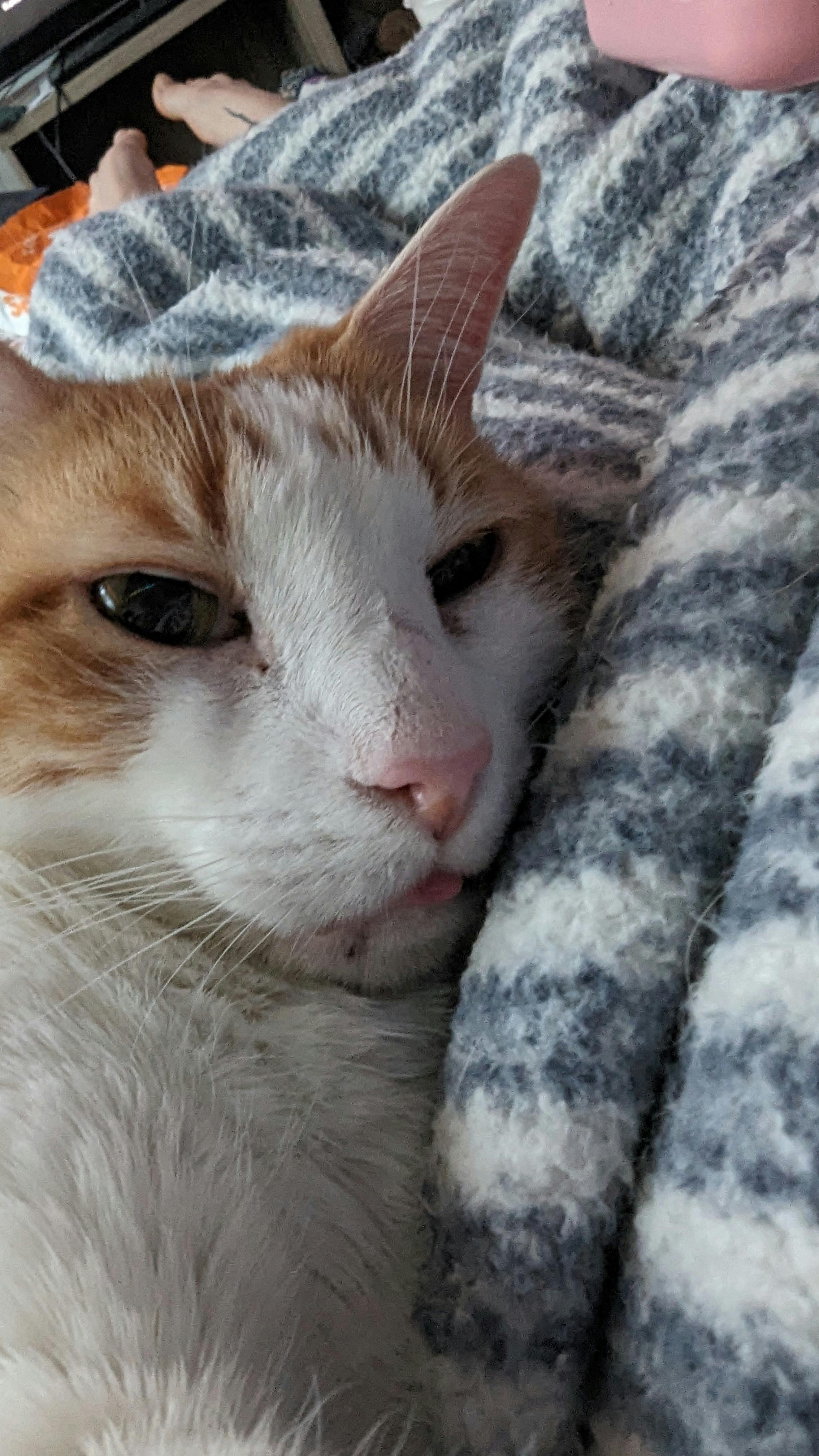 user avatar image for M Powell