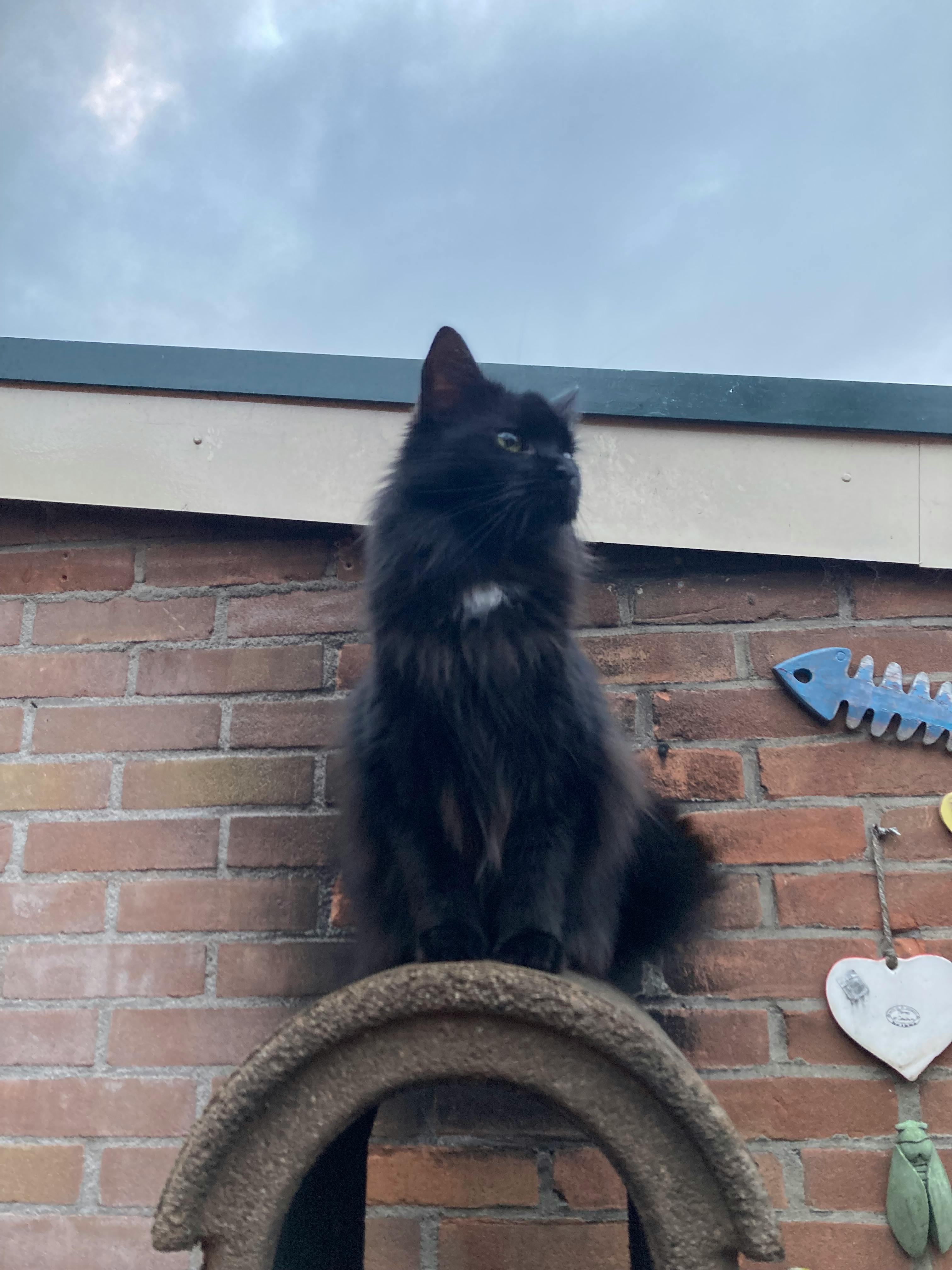 user avatar image for Gina