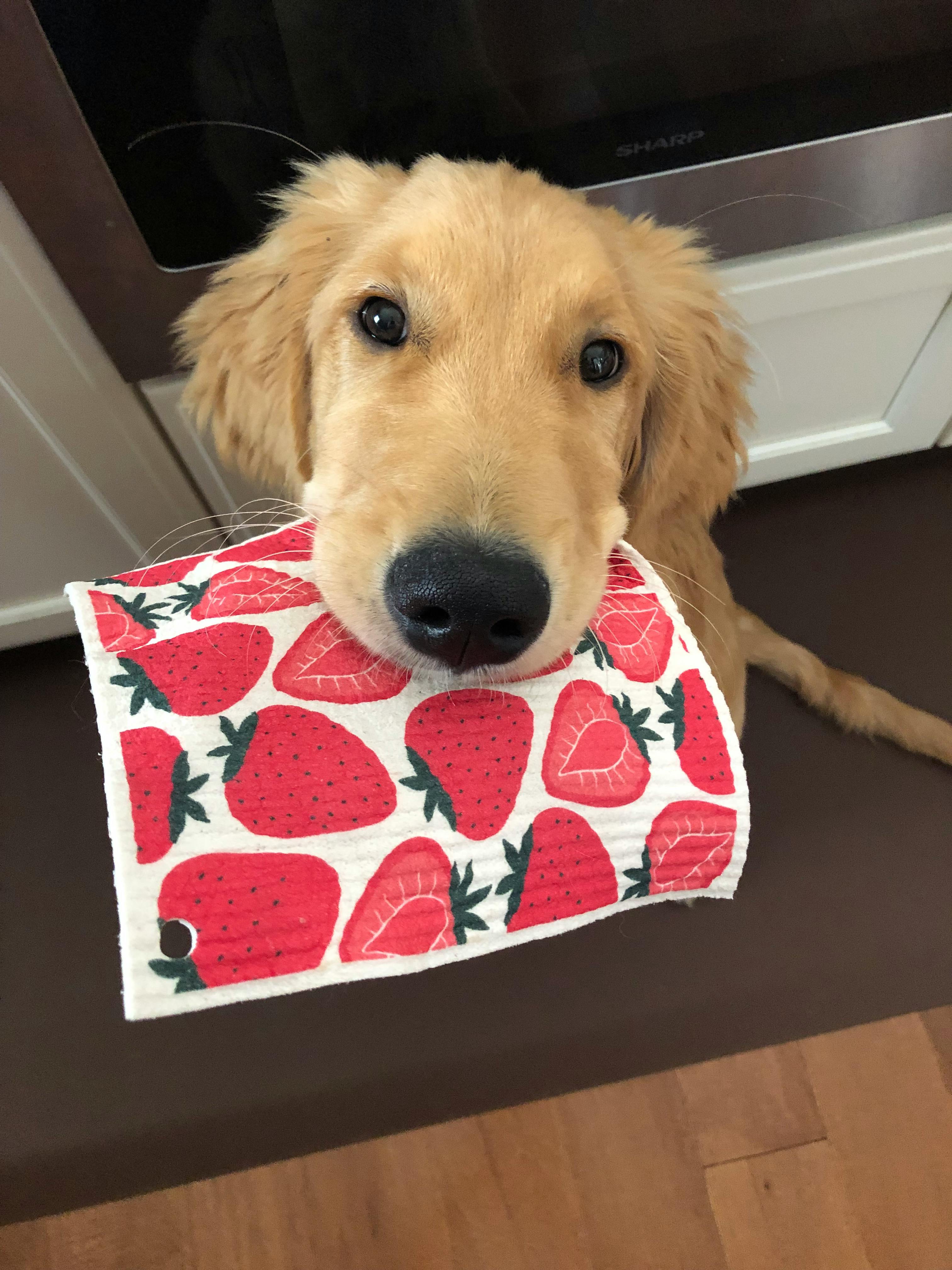 user avatar image for Frank Wiegand