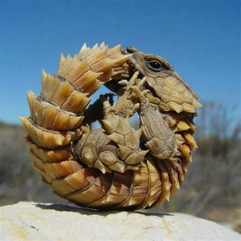 user avatar image for Serpentking789