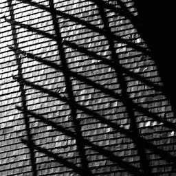 user avatar image for Sander Niemeijer