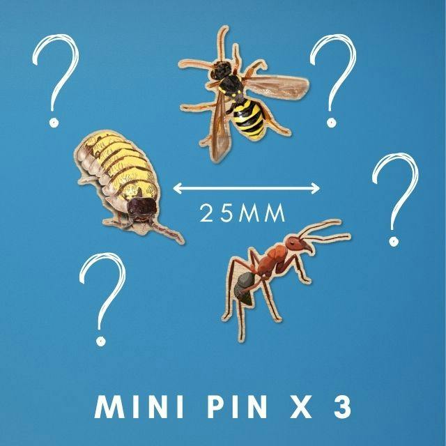 3 Wooden Mini Pins