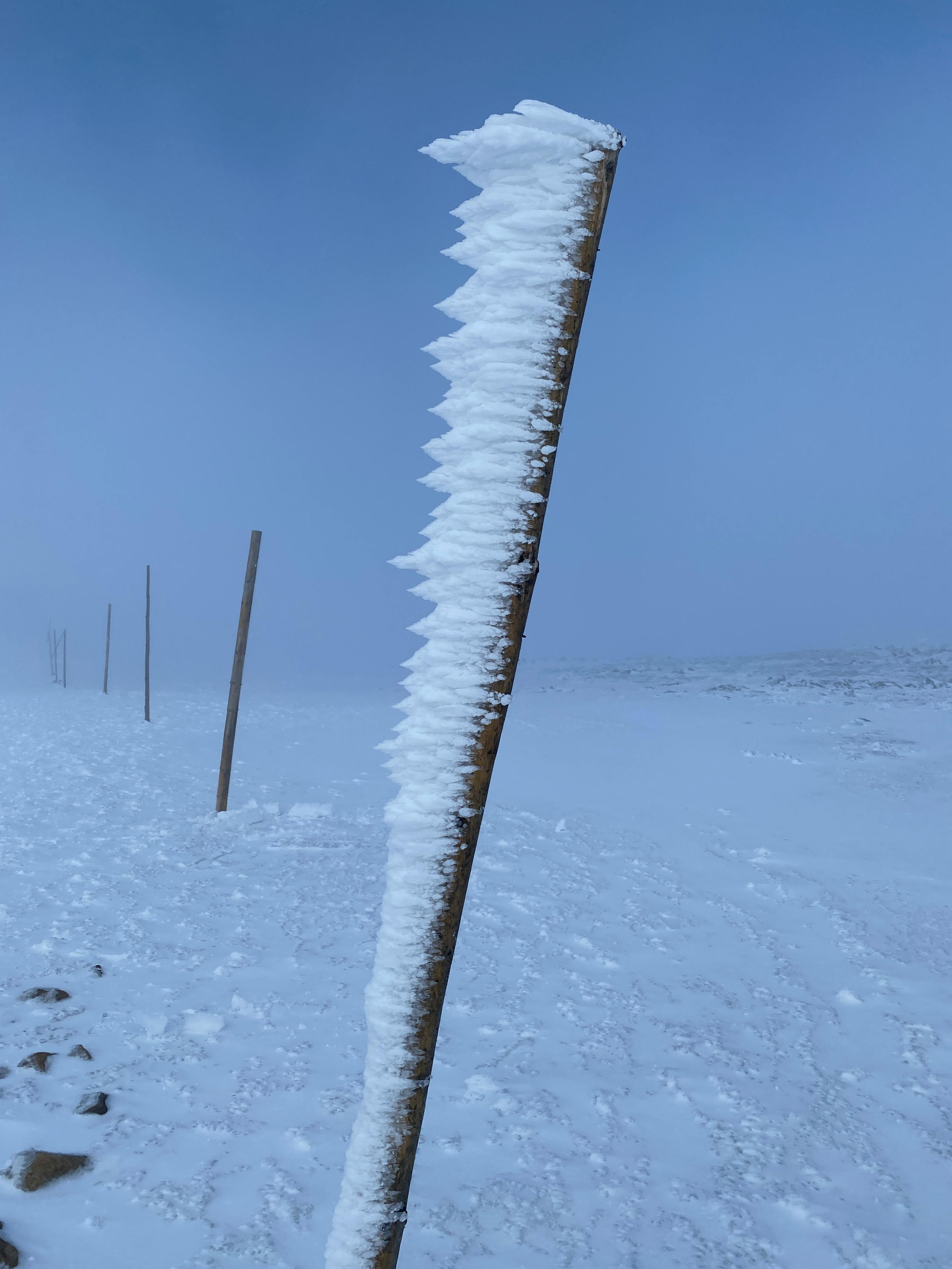 user avatar image for jan arnoldus