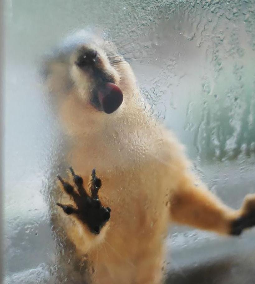 user avatar image for Christopher Jeffrey