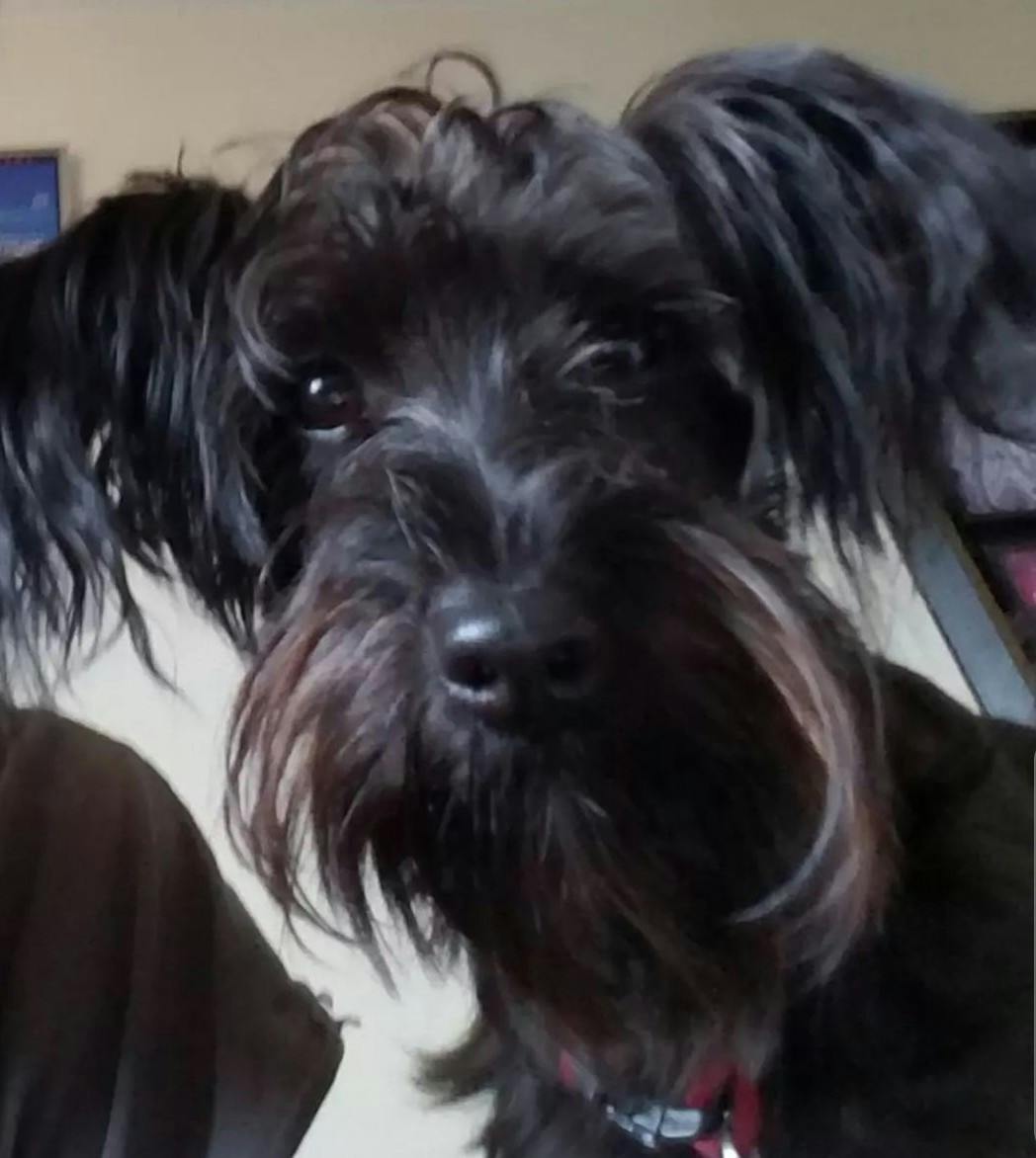 user avatar image for Rodger 