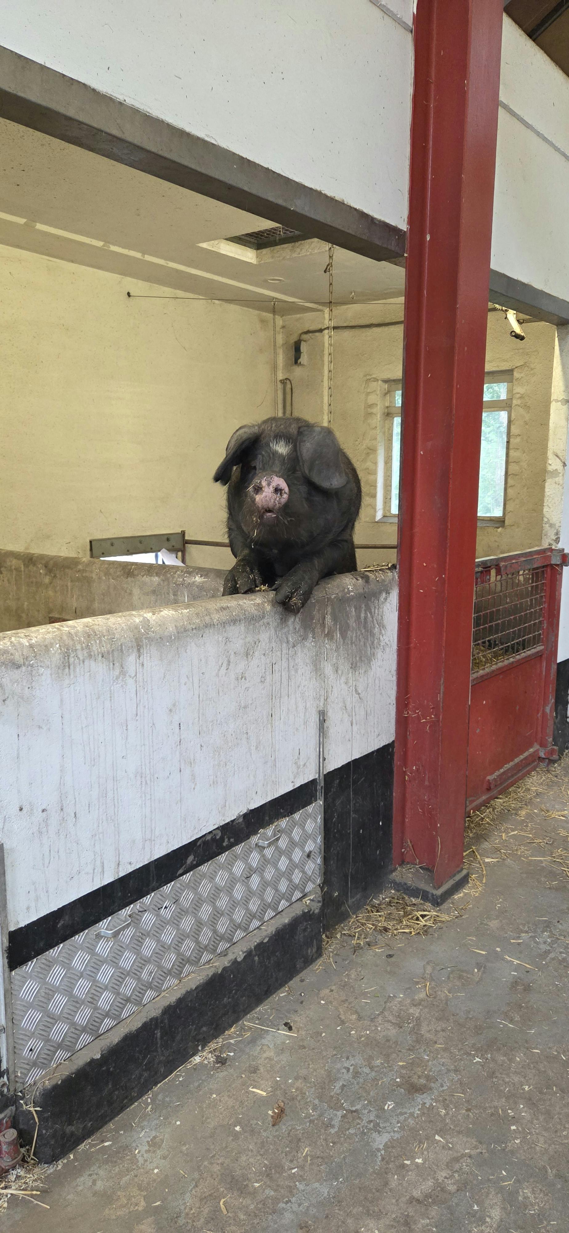 user avatar image for Jamy