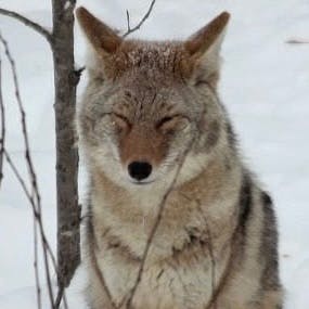 user avatar image for M