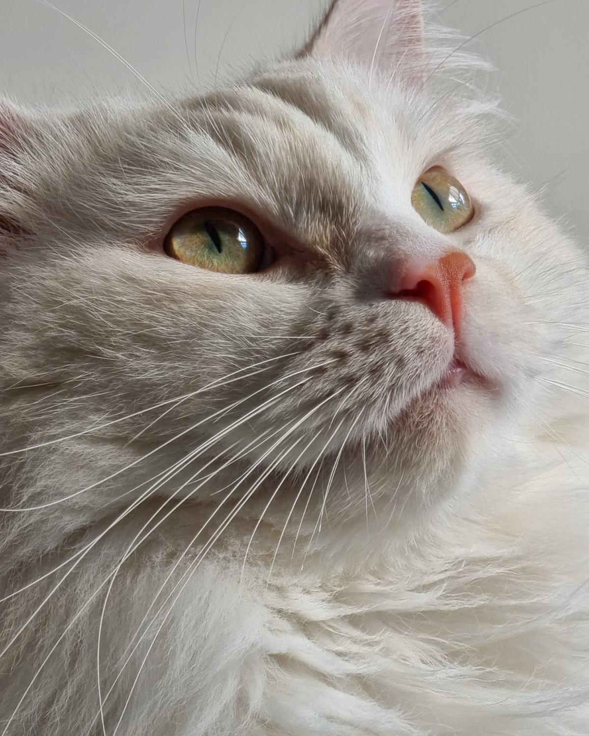 user avatar image for DanA