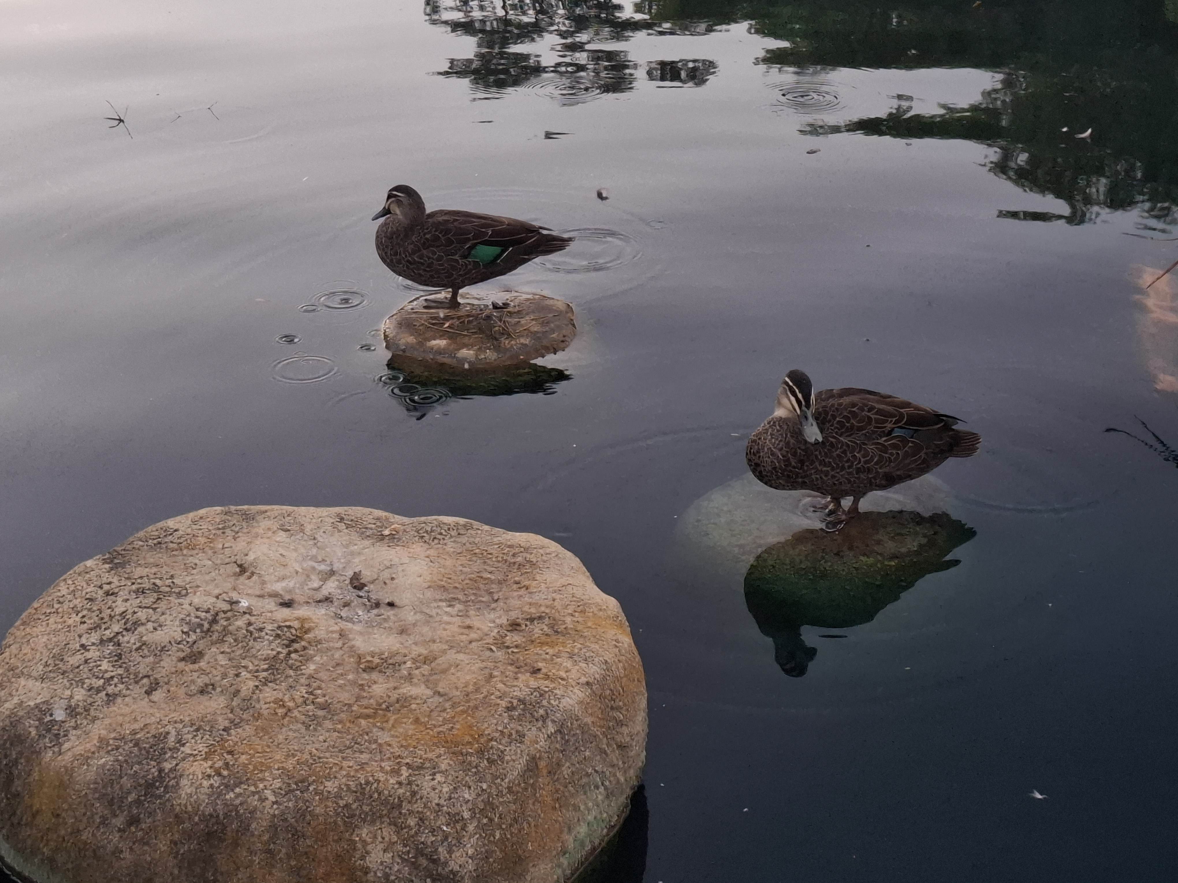 user avatar image for Chelsea