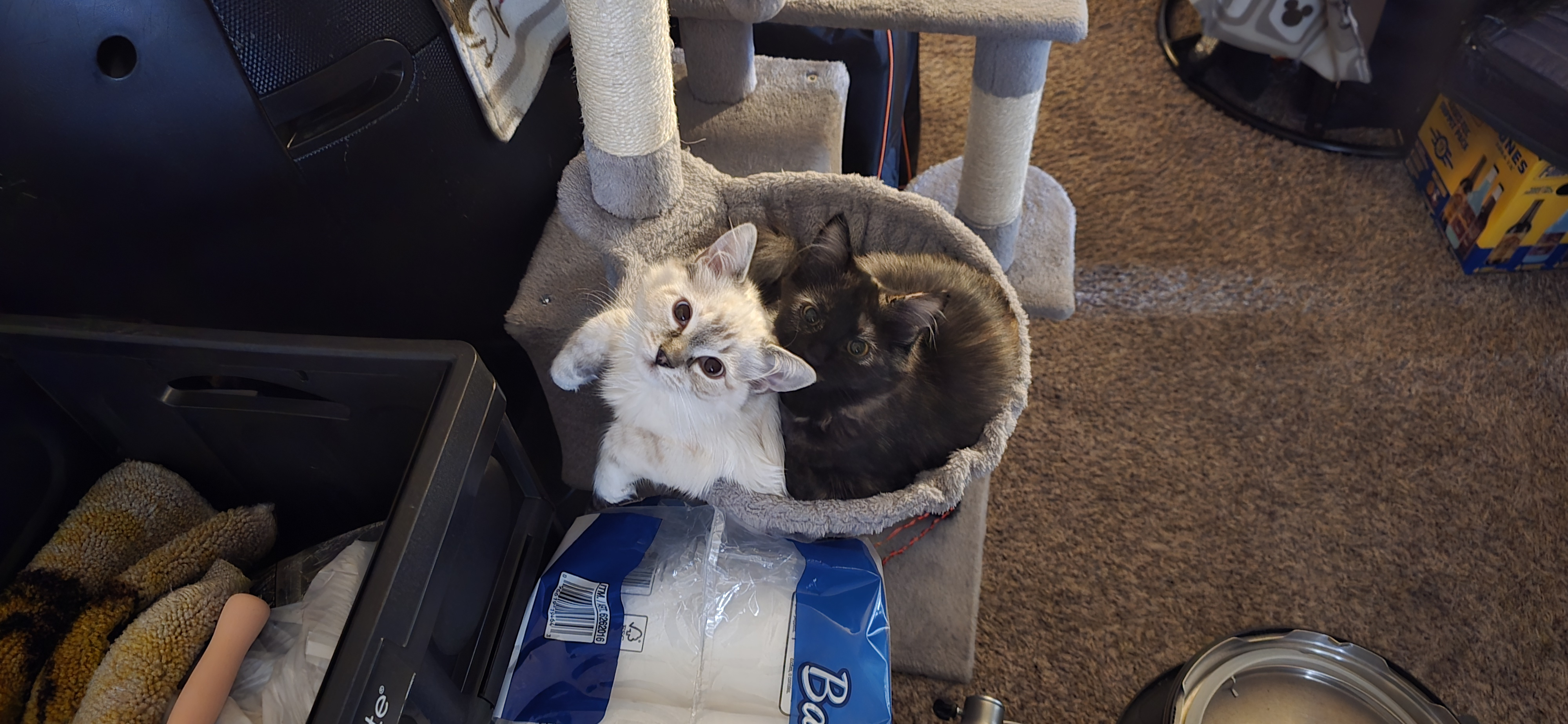 user avatar image for Joseph Senko