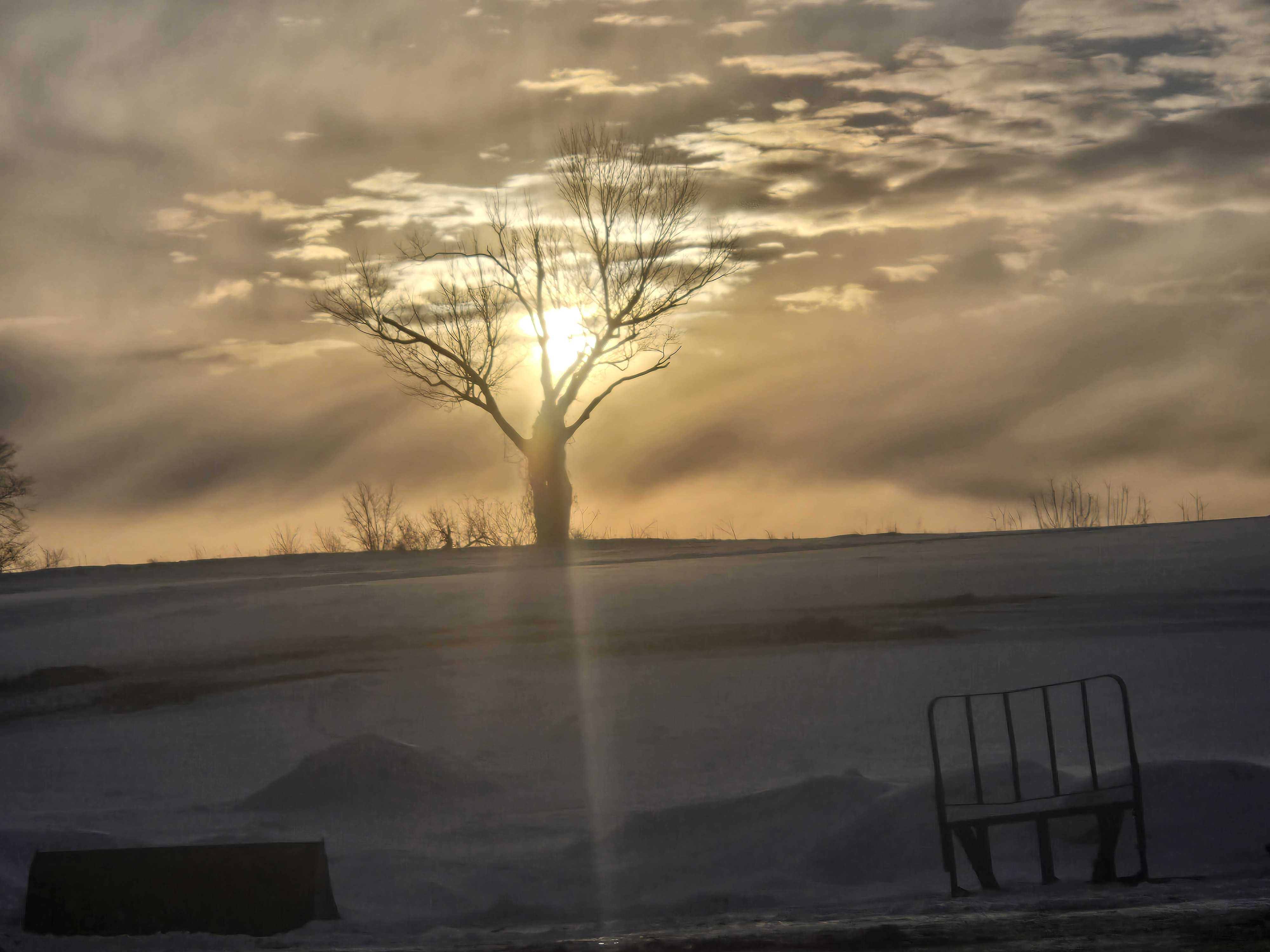 user avatar image for Codvrt