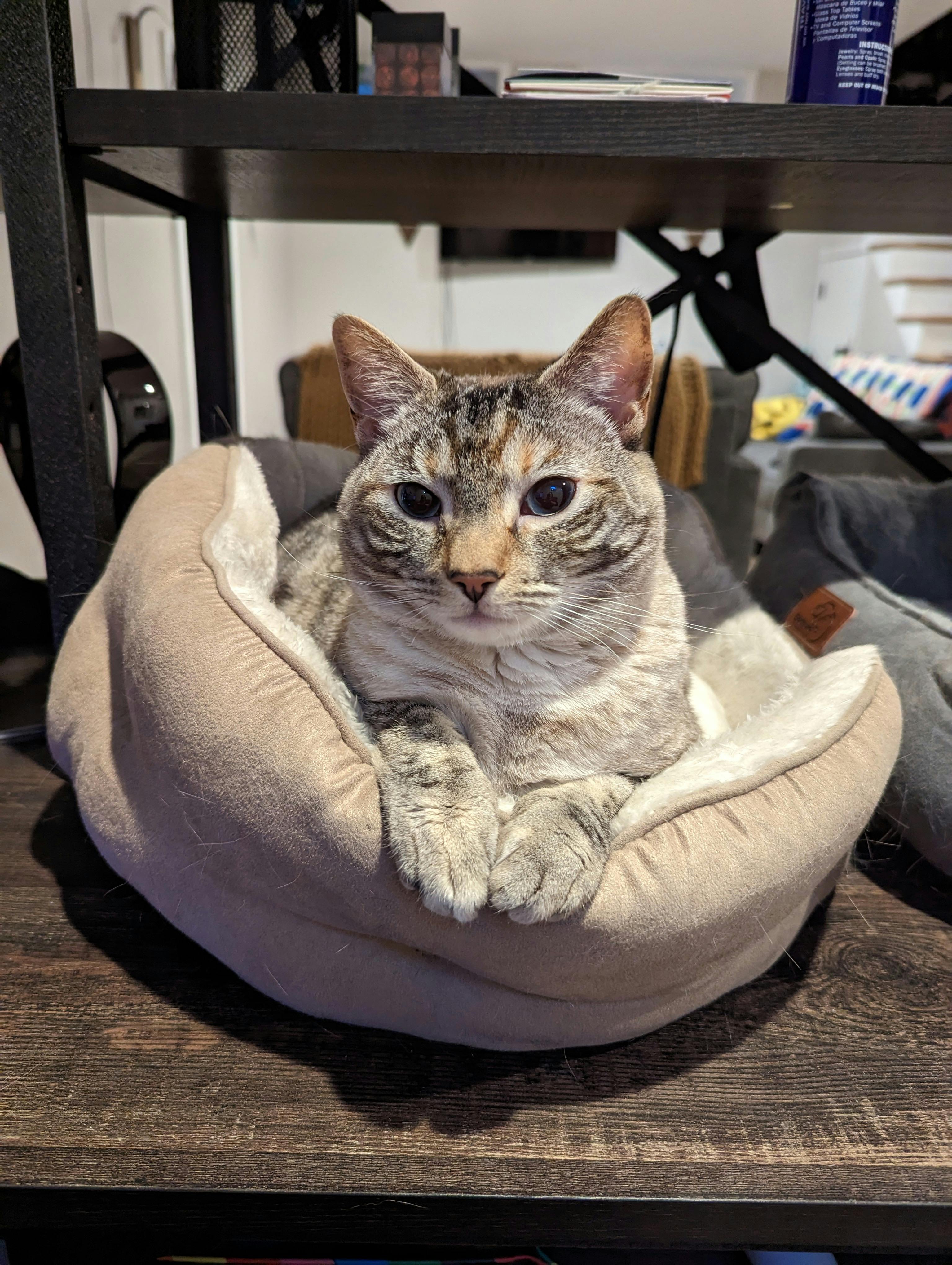 user avatar image for Olivia