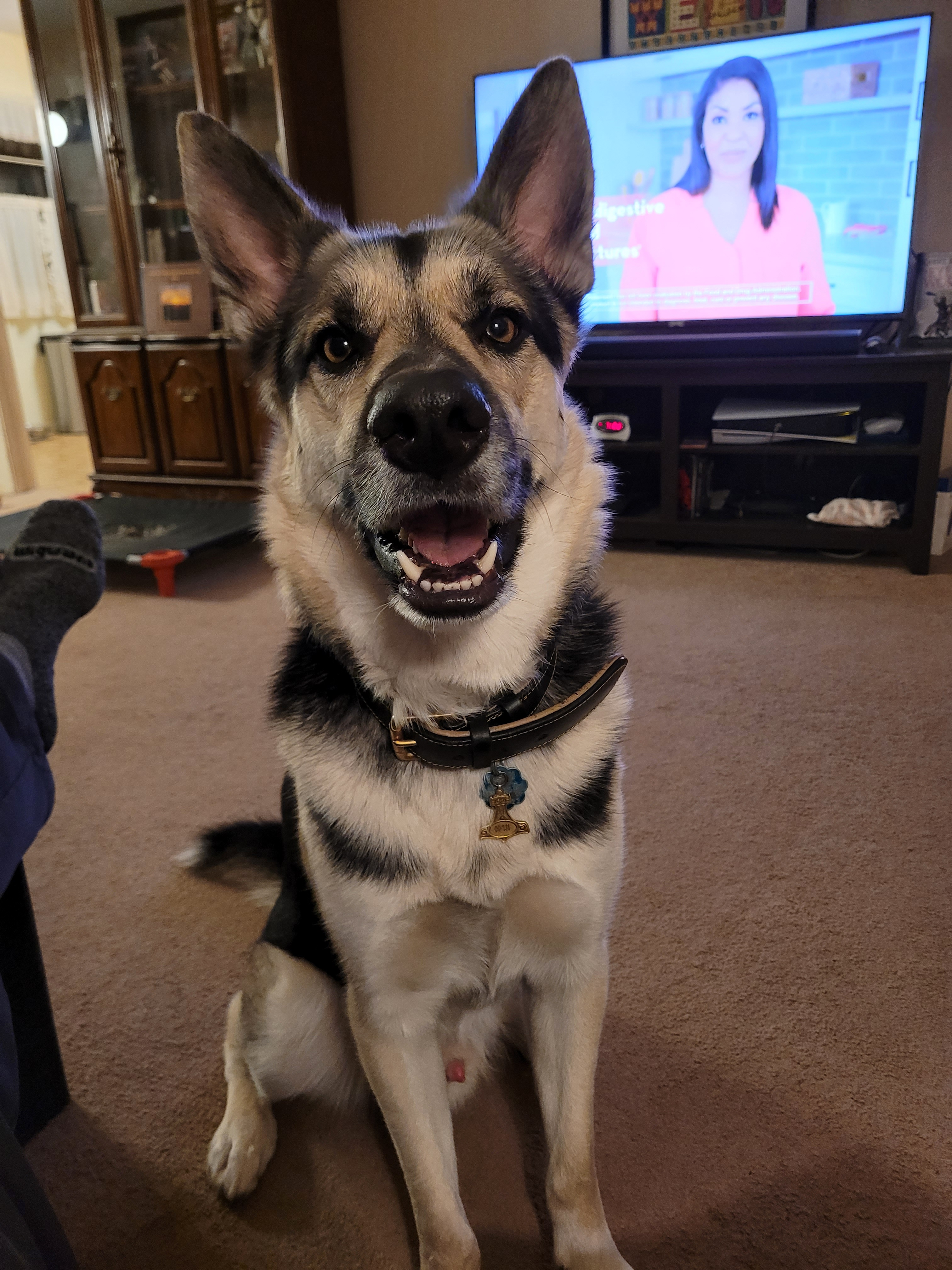 user avatar image for Ian