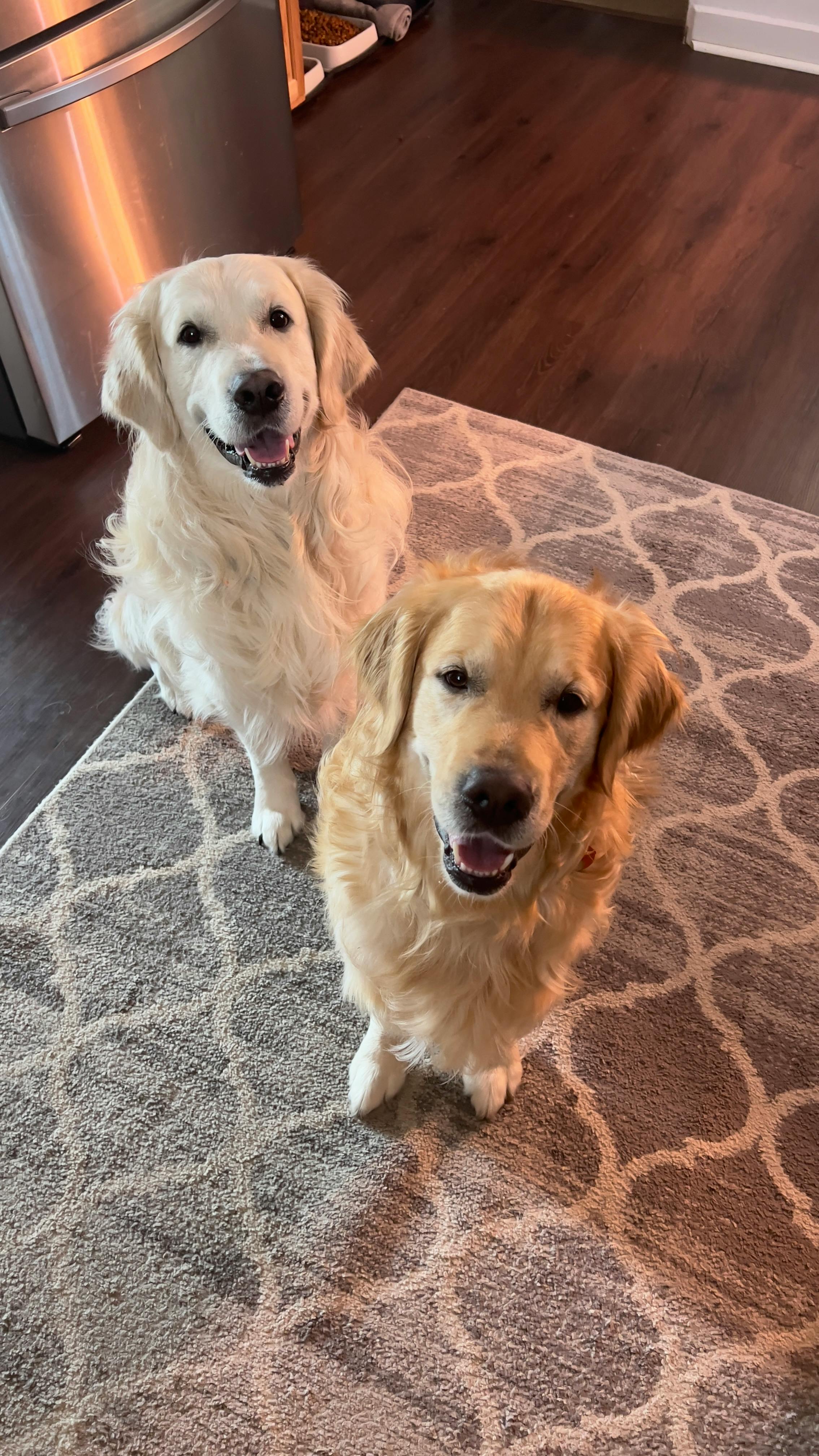 user avatar image for Breck Williams 