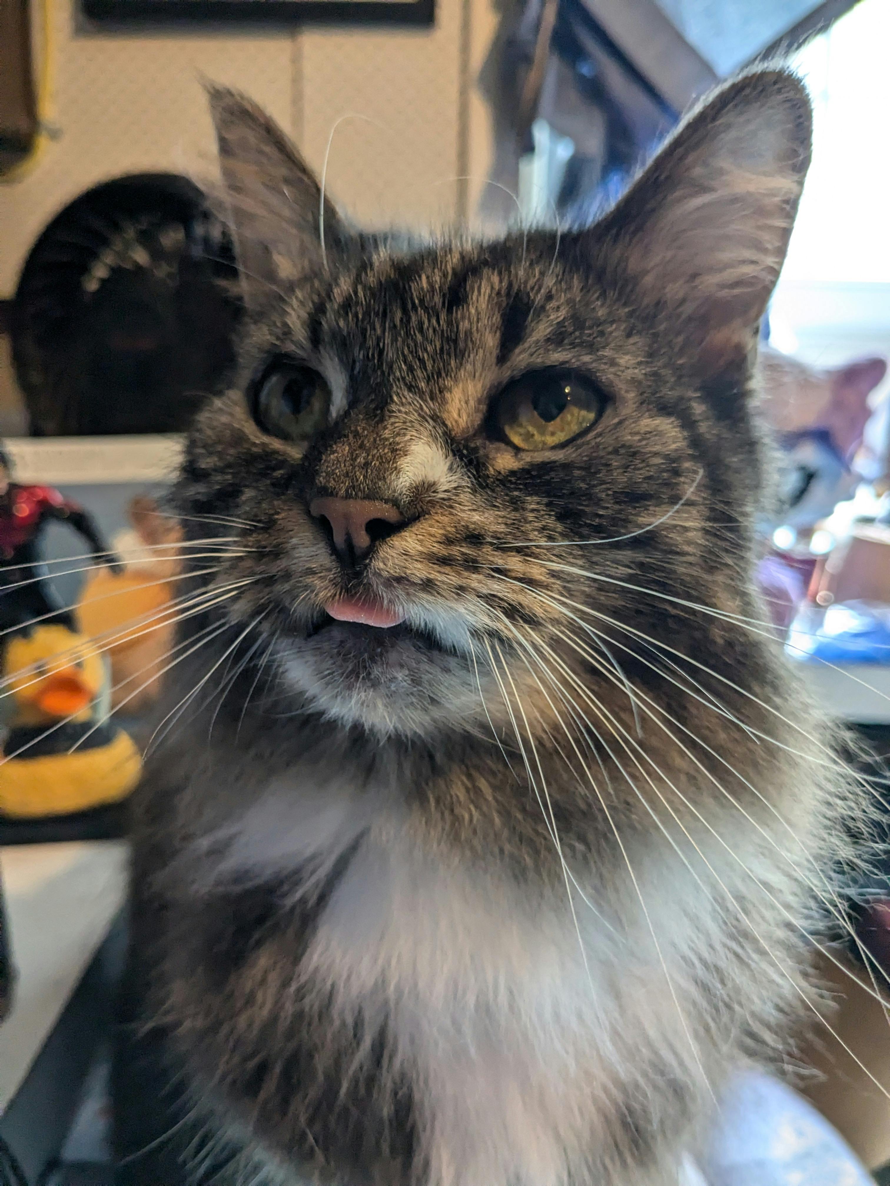 user avatar image for Claire