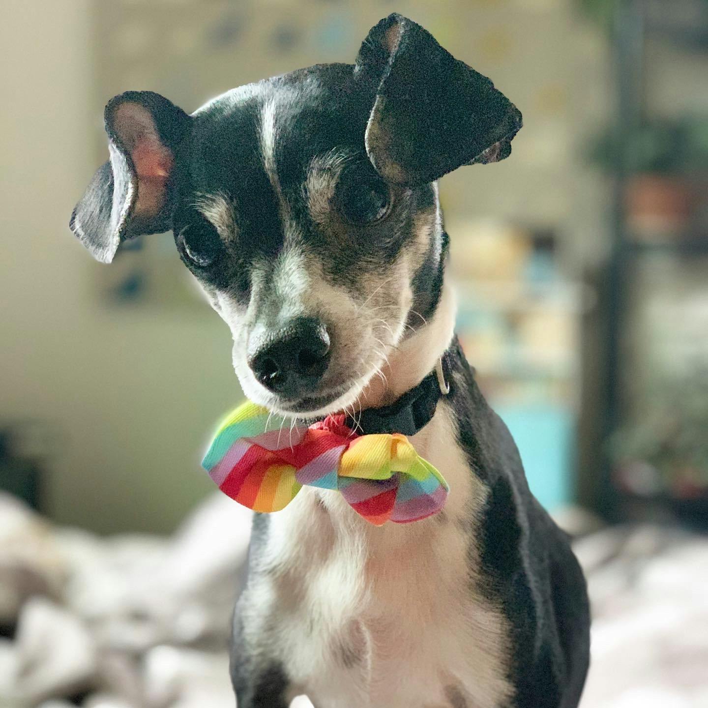 user avatar image for rj.bosch