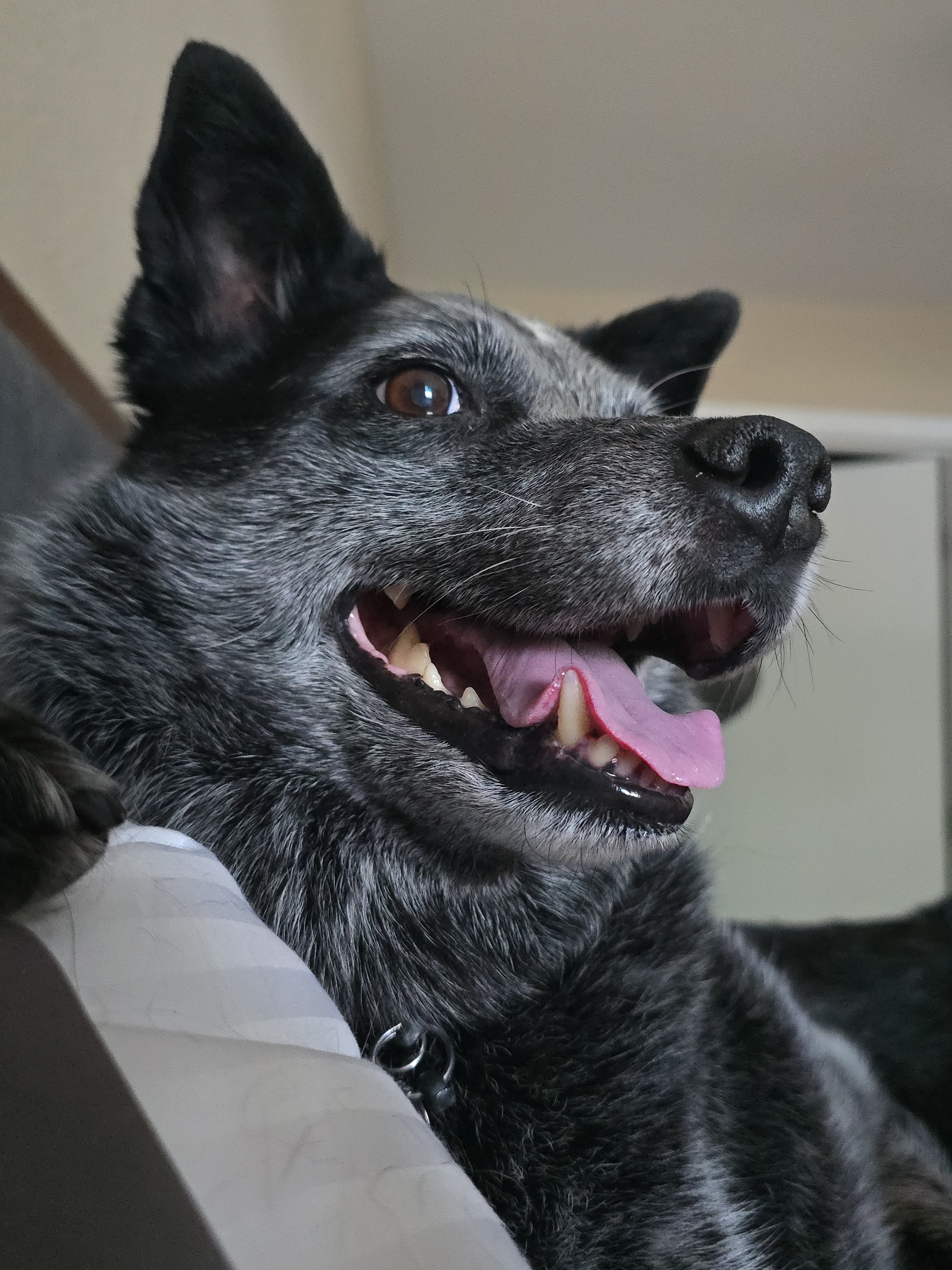 user avatar image for Kimmah G