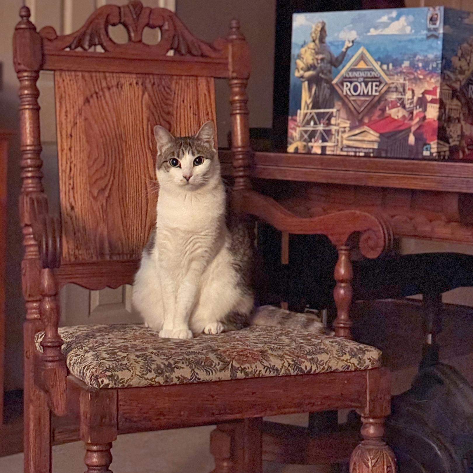 user avatar image for Christina Seo