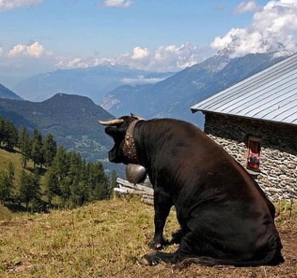 user avatar image for Daeadly