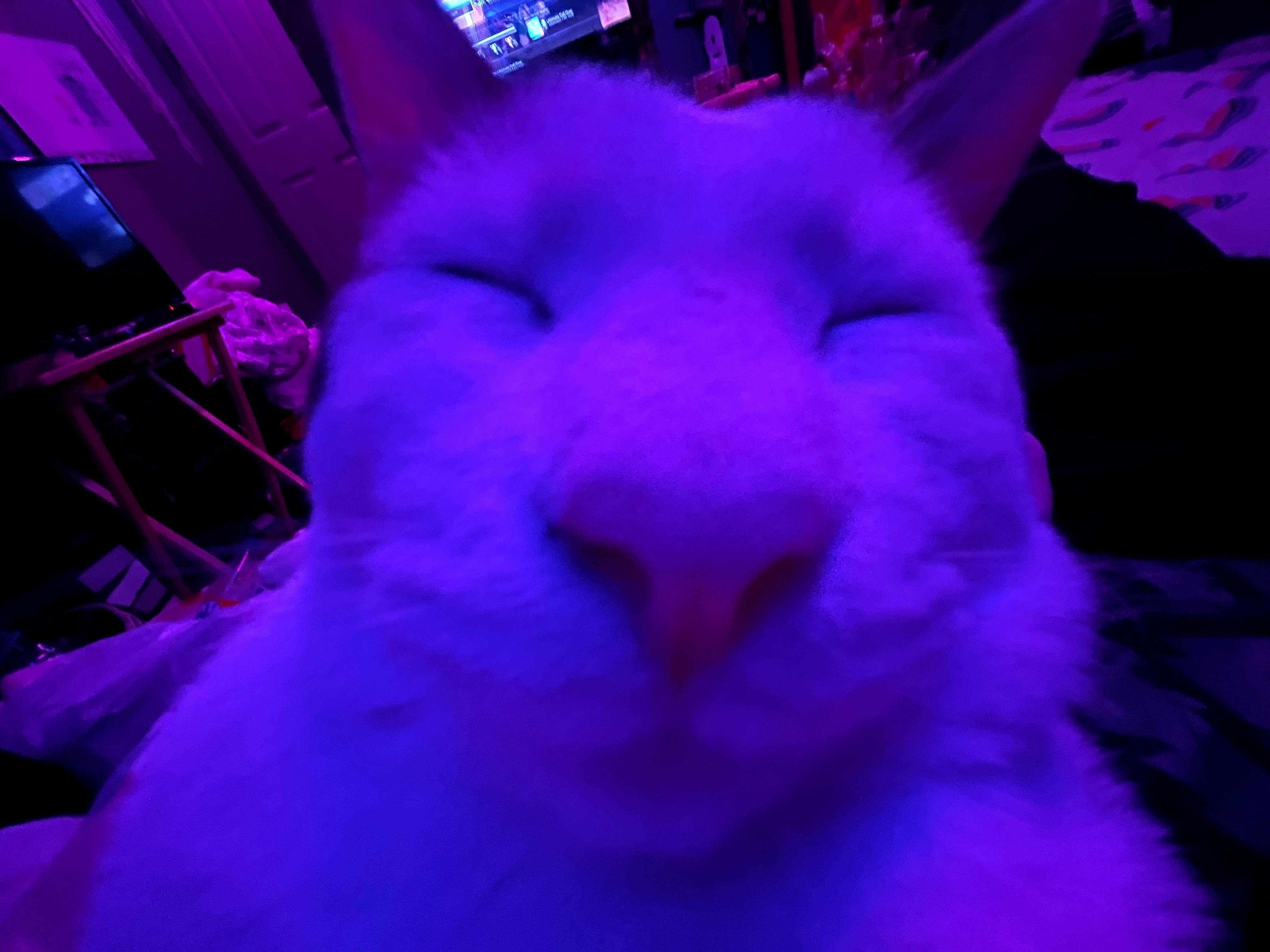 user avatar image for Em Jay