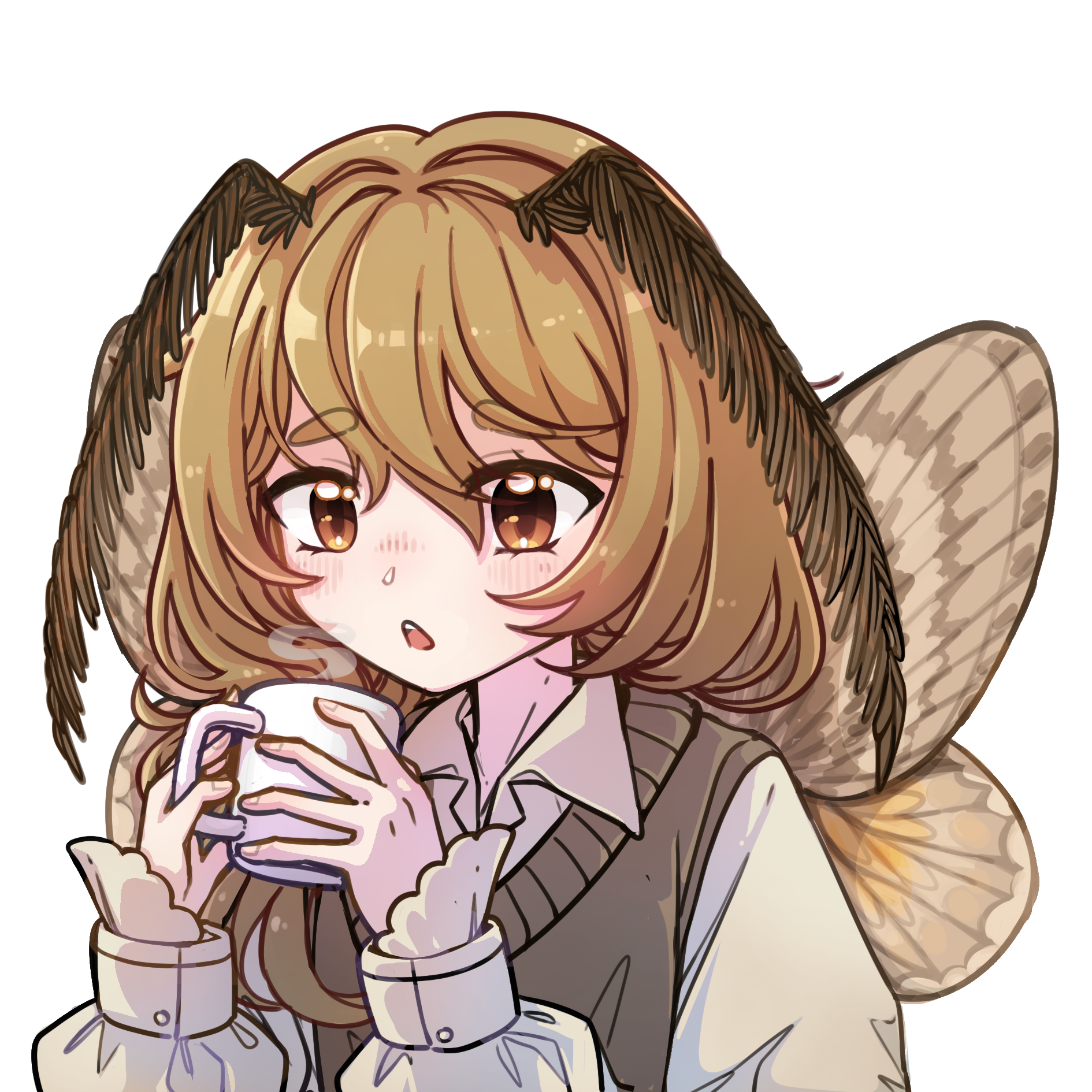 user avatar image for EntomoloMoth