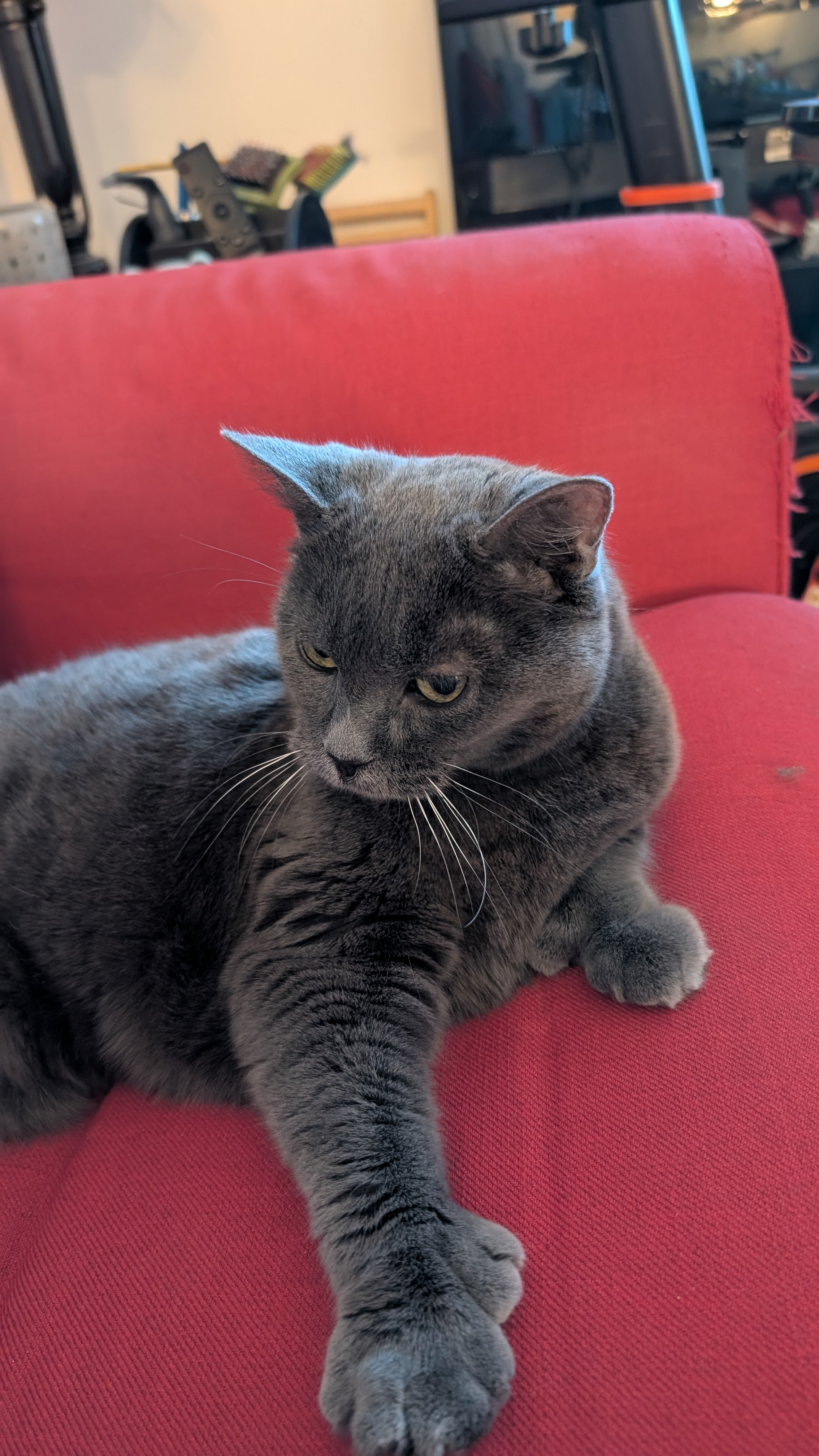 user avatar image for Caroline Bonin